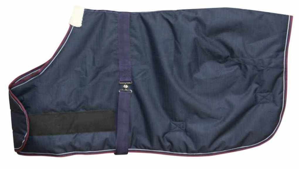 Dunkelblaue Pferdedecke, violette Ränder, Bauchgurt, silberne Schnallen, schwarzer Brustbereich.