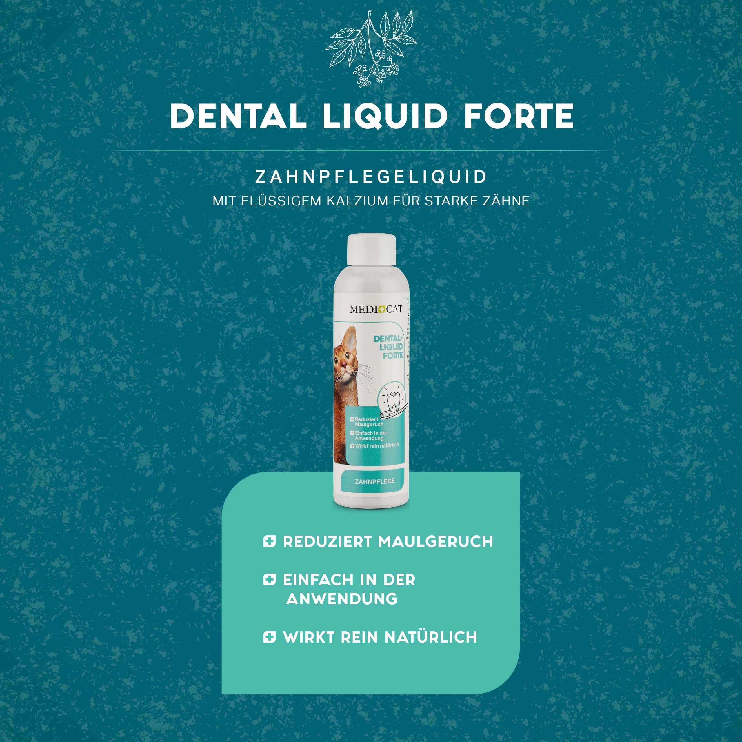 Flasche MEDICAT Dental Liquid Forte auf blauem Hintergrund. Text: Reduziert Maulgeruch, Einfach in der Anwendung, Wirkt rein natürlich.