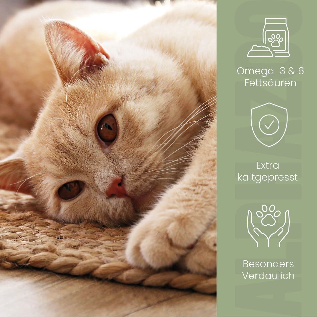 Katze auf einer Matte. Icons: Omega 3&6 Fettsäuren, extra kaltgepresst, besonders verdaulich. Grüner Hintergrund.