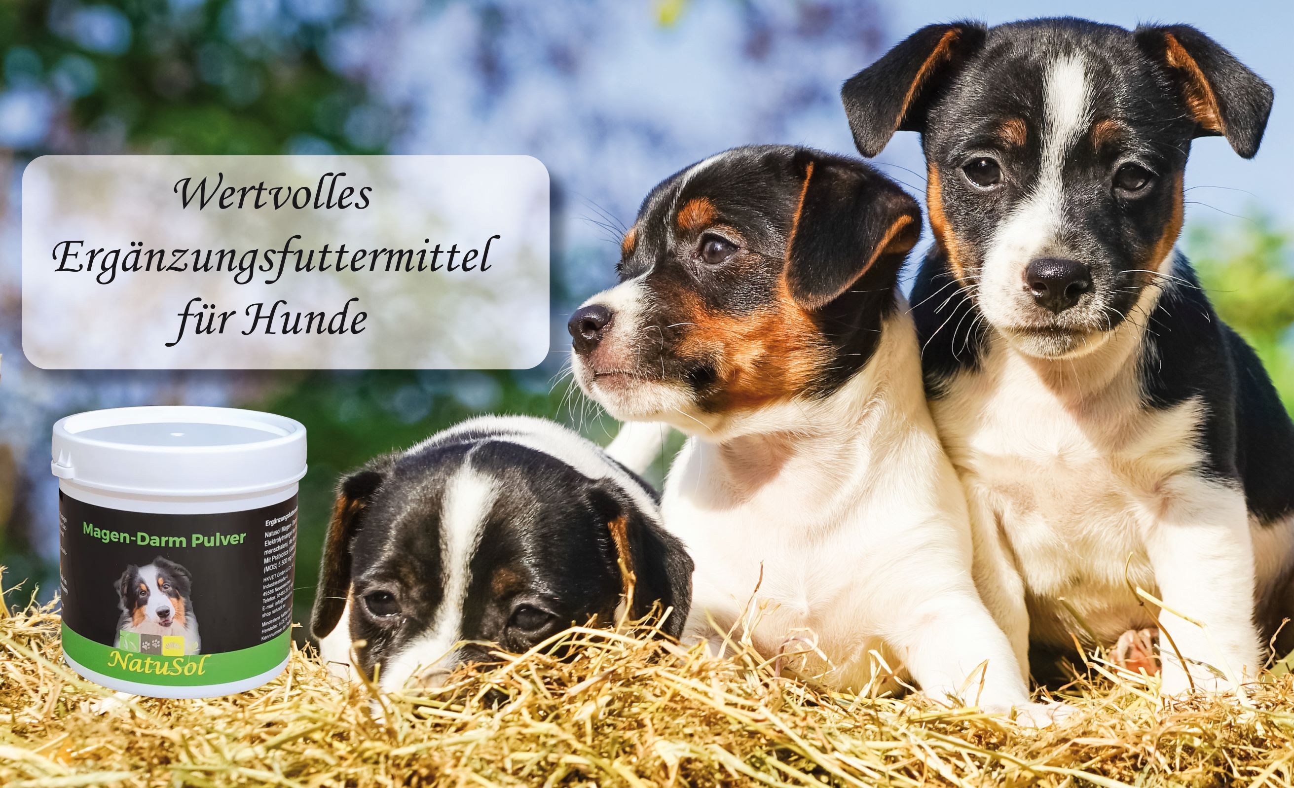 NatuSol Magen-Darm Pulver für Hunde -mit Prä- und Probiotica-