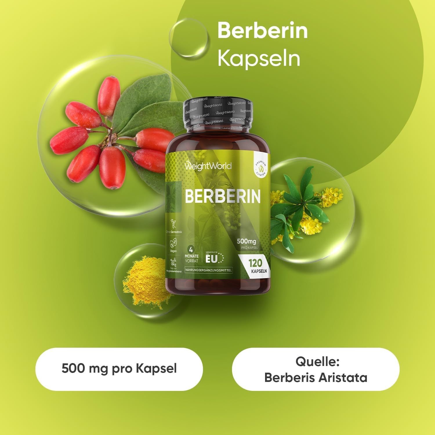 Produktabbildung mit Berberin-Kapseln. Flasche mit Etikett, 120 Kapseln. Zusätzliche Elemente: Beeren, Blätter, gelbes Pulver, grüne Blasen.