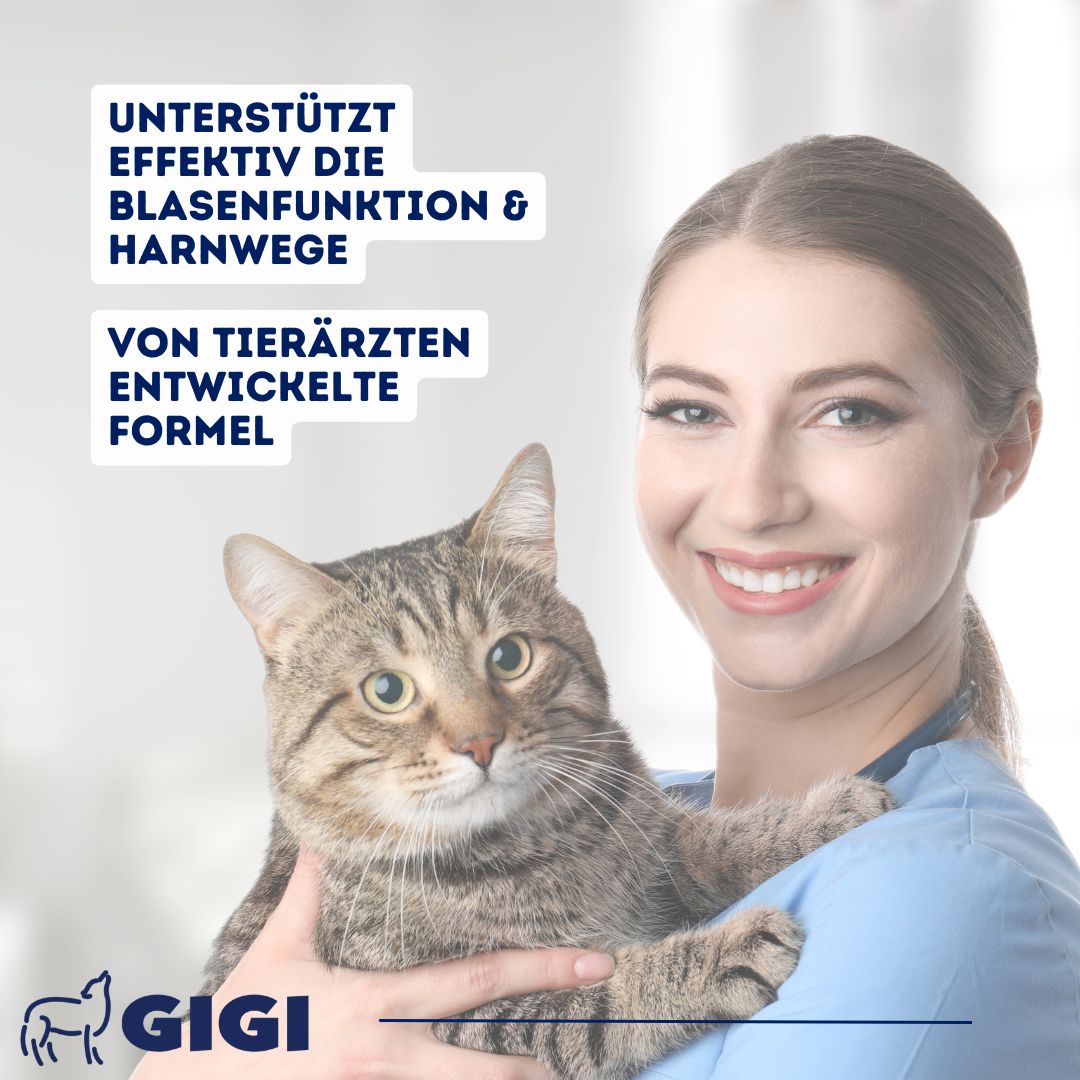 Tierärztin hält Katze. Text: "Unterstützt effektiv die Blasenfunktion & Harnwege". Marke GIGI.