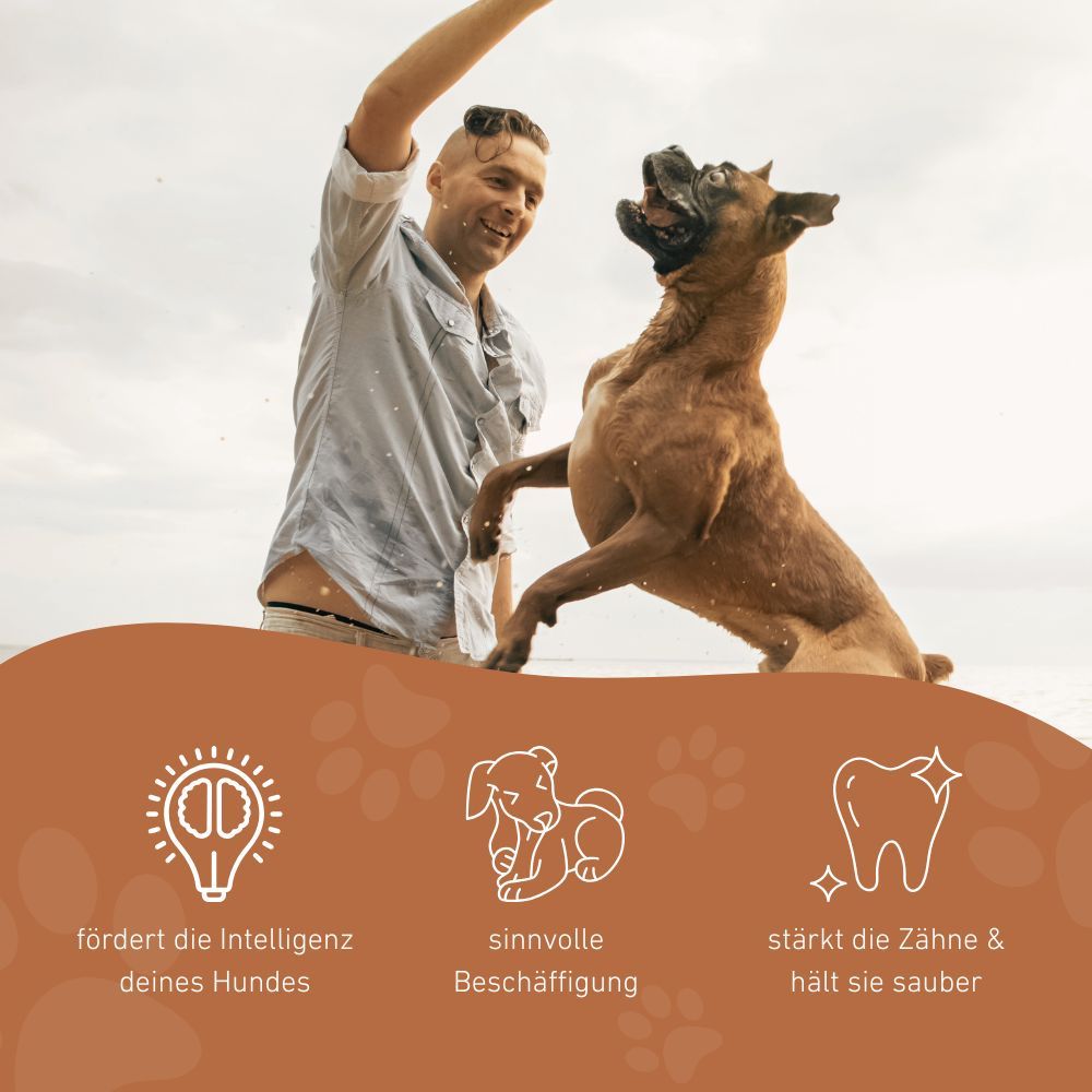 Mann wirft Wurfkürbis für Hund. Icons: Intelligenz, Beschäftigung, saubere Zähne.