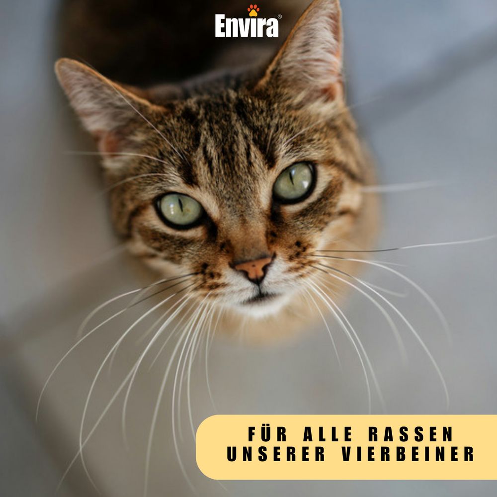 Katze blickt nach oben. Gelber Textblock: Für alle Rassen unserer Vierbeiner. ENVIRA Logo.