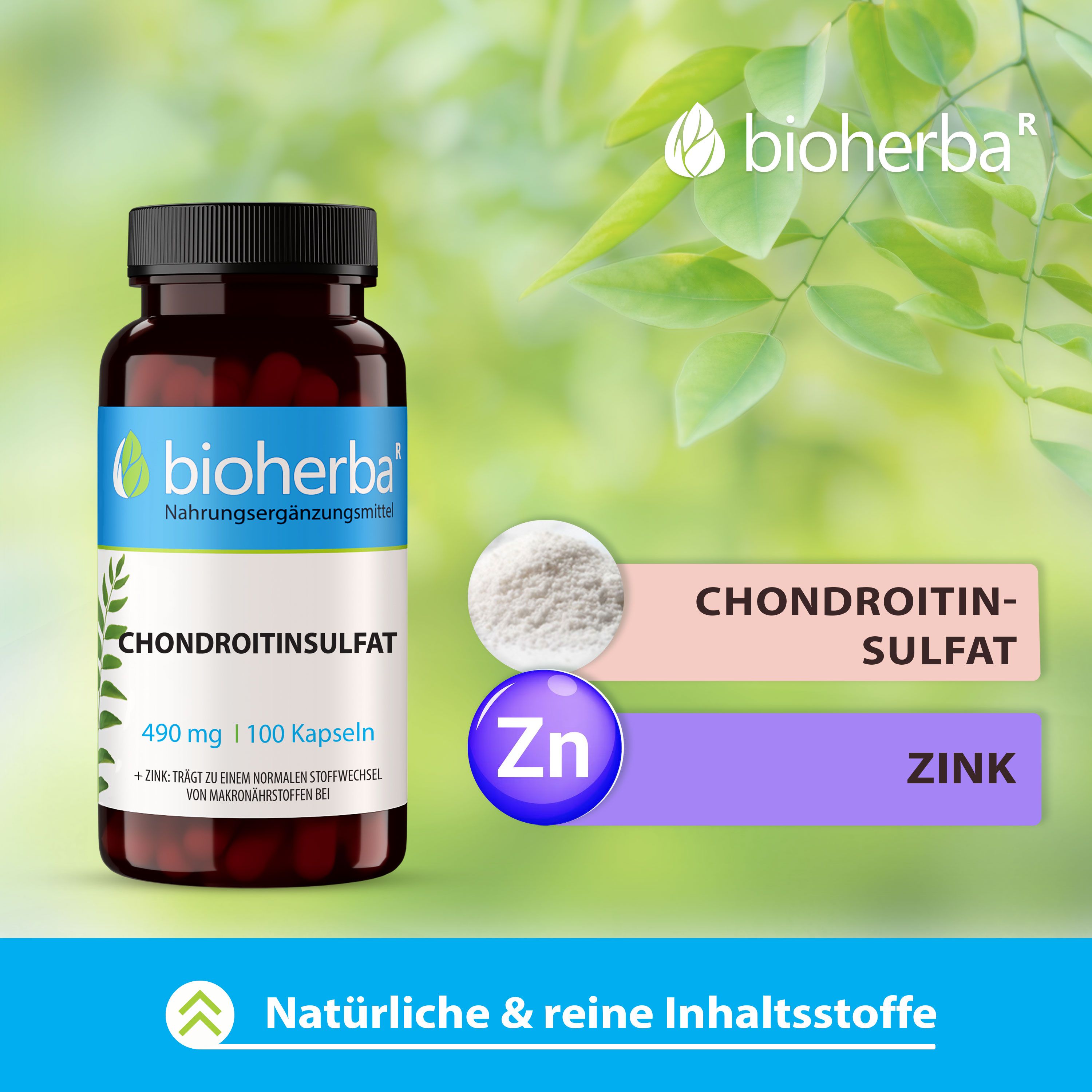 Braune Flasche mit schwarzem Deckel. Aufkleber mit Logo und Produktnamen. Text: Chondroitinsulfat, Zink. Grafische Elemente: Pulver, Zn-Symbol.