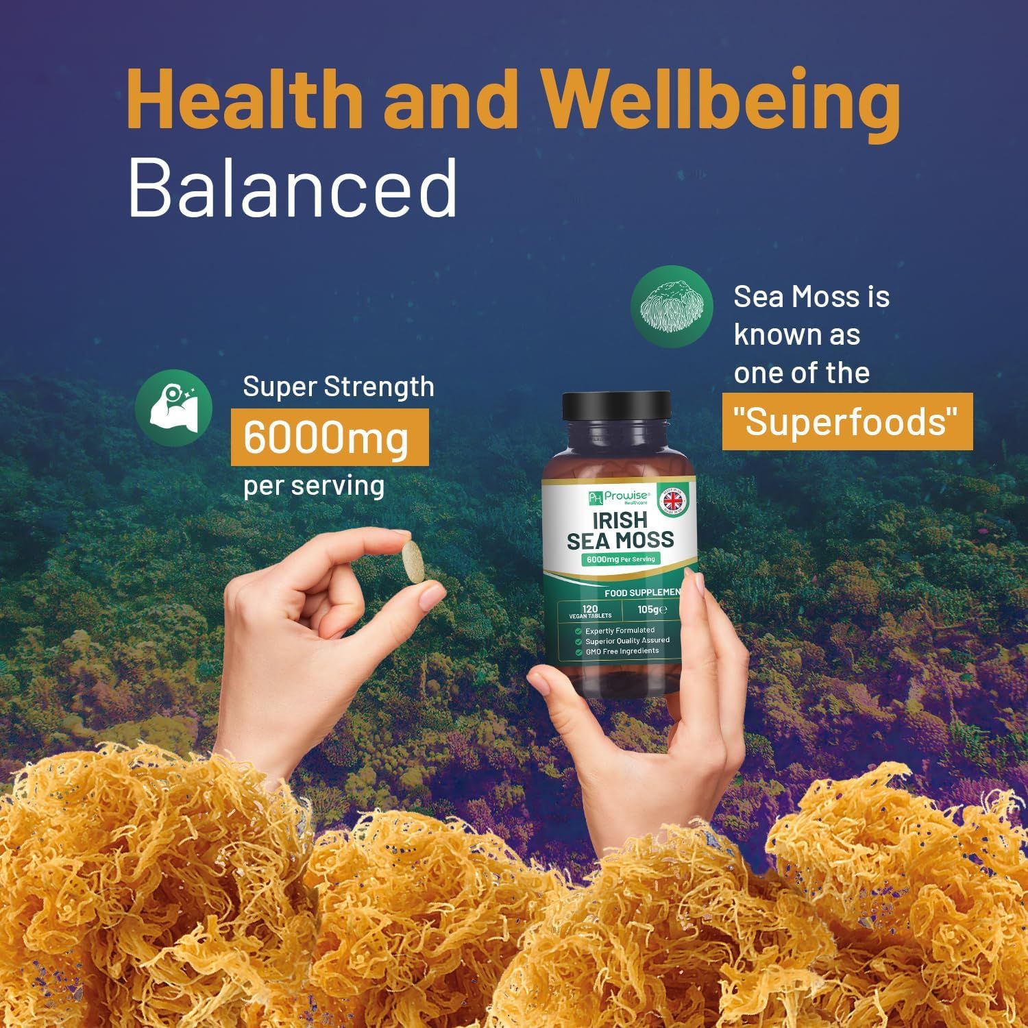 Hände halten eine Tablette und eine Flasche Irish Sea Moss. Text: Super Strength 6000mg pro Portion. Seetang im Hintergrund.