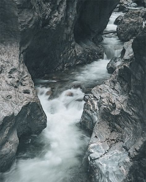 Lu&me Family Size gesunde Kopfhaut