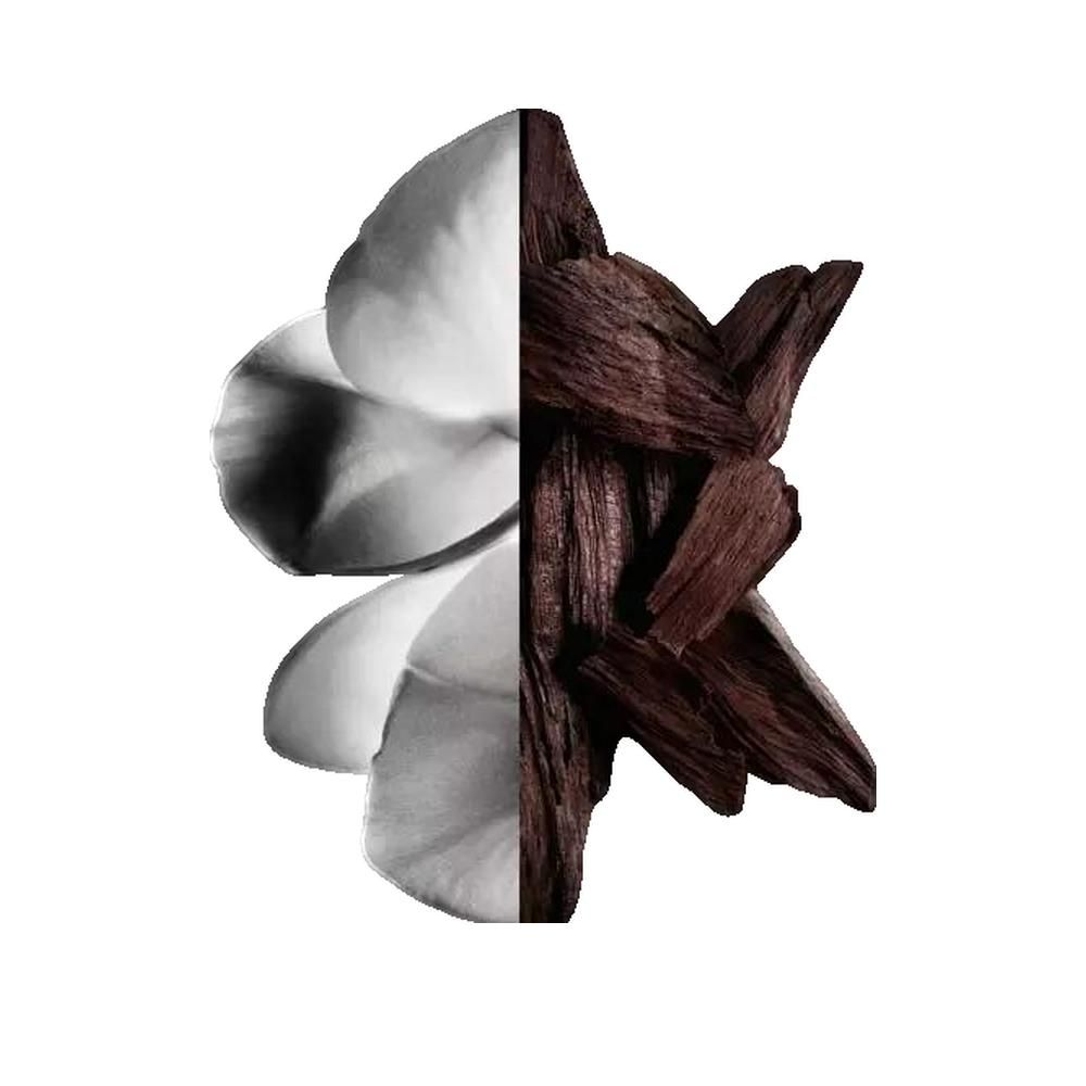 Abbildung von Blütenblättern und Holzstücken. Die linke Hälfte zeigt weiße Blütenblätter, die rechte Holzstücke.