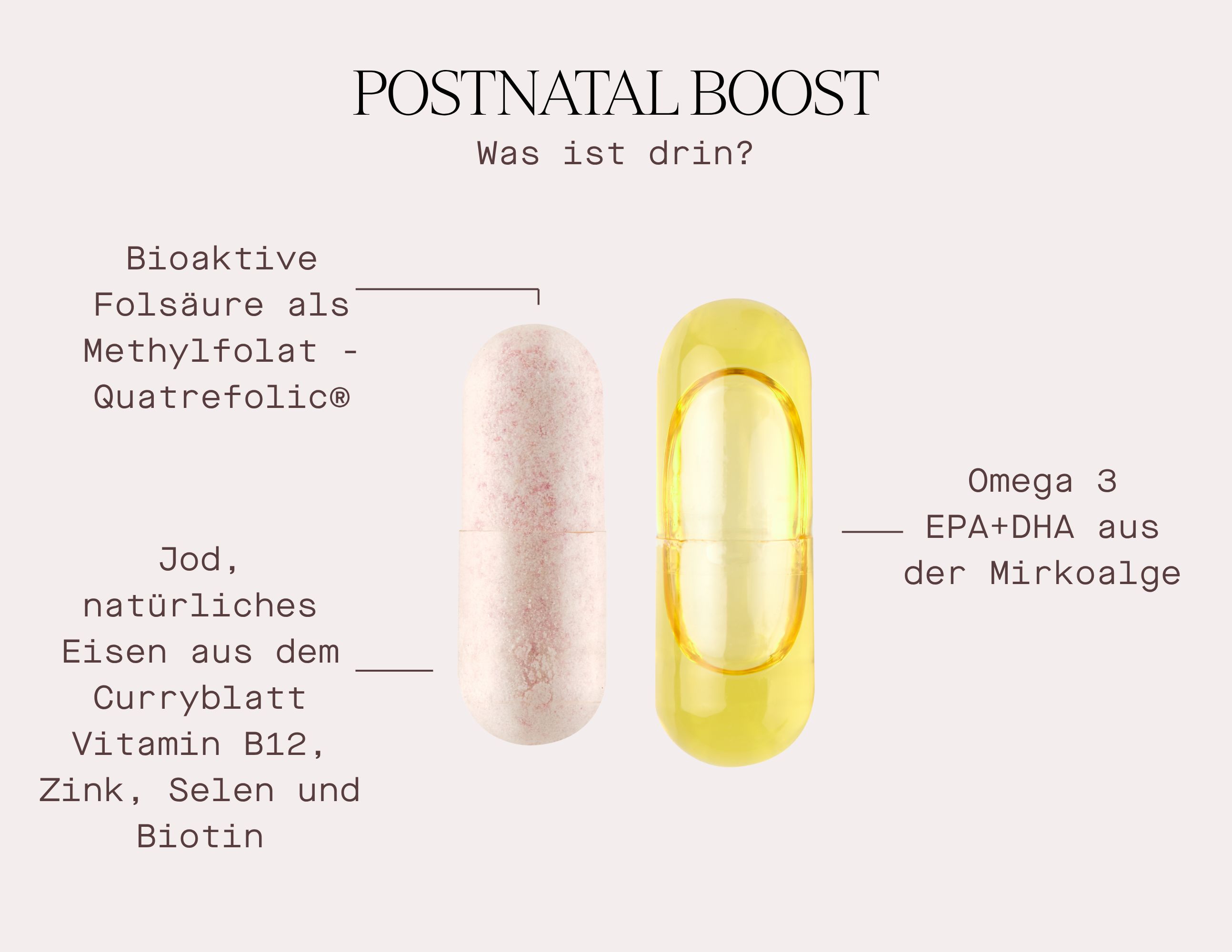 Grafik: Kapsel-Vergleich. Links: rosa Kapsel. Rechts: gelbe Kapsel. Beschriftung: Inhaltsstoffe, "Postnatal Boost" und "Omega 3".