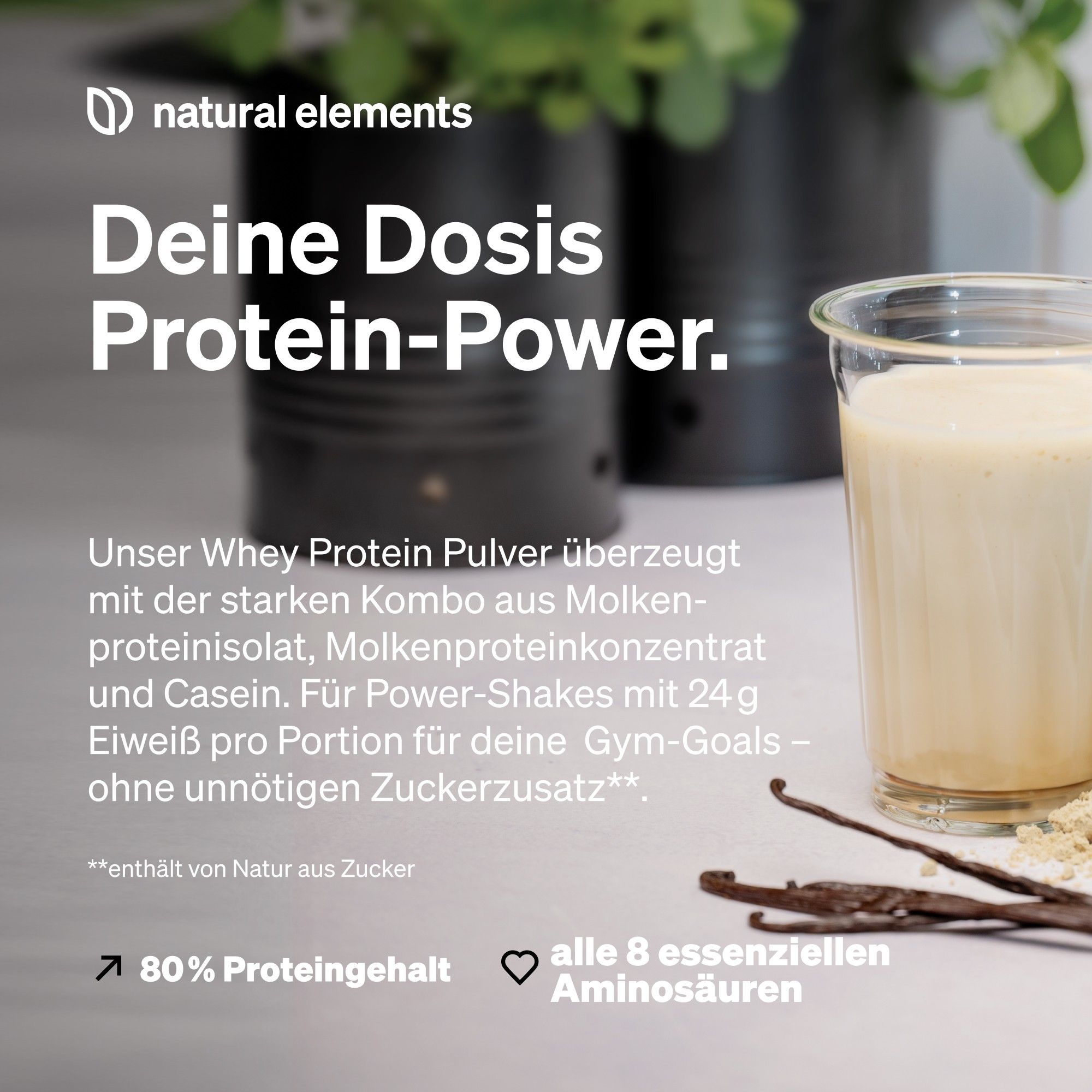 Glas mit Vanille-Whey-Protein-Shake, daneben Vanilleschoten. Text: Deine Dosis Protein-Power. 80% Proteingehalt, alle 8 Aminosäuren.