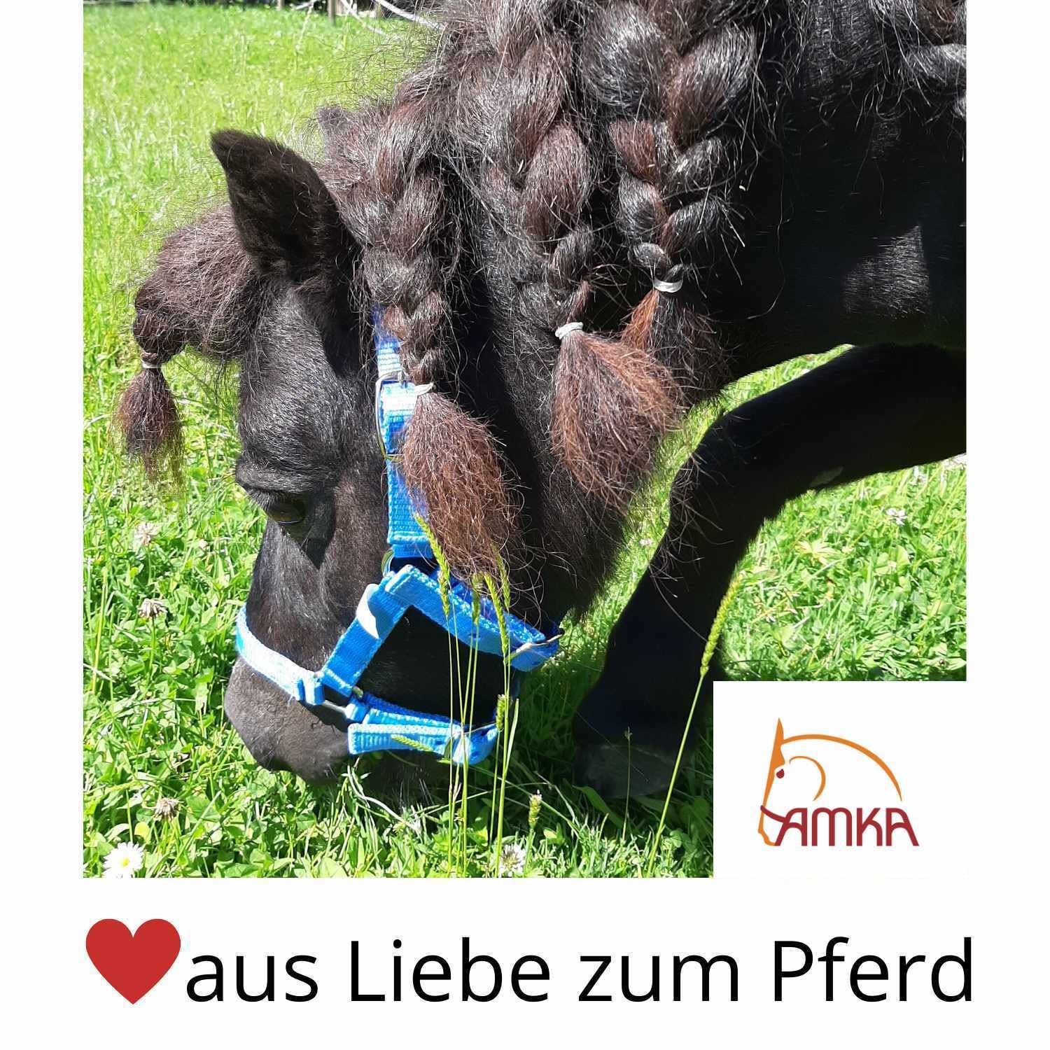 Pferd mit blauer Trense und Zöpfen. AMKA-Logo. Text: aus Liebe zum Pferd.