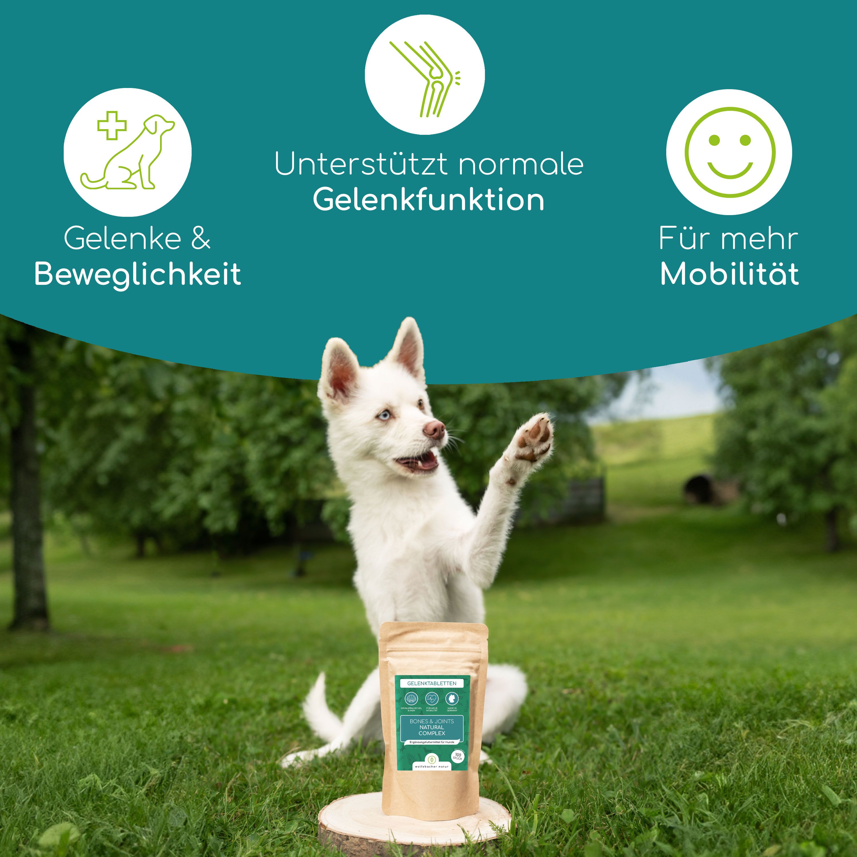 Hund auf Baumstumpf, Tablettenbeutel. Icons: Gelenke & Beweglichkeit, Unterstützt normale Gelenkfunktion, Für mehr Mobilität.