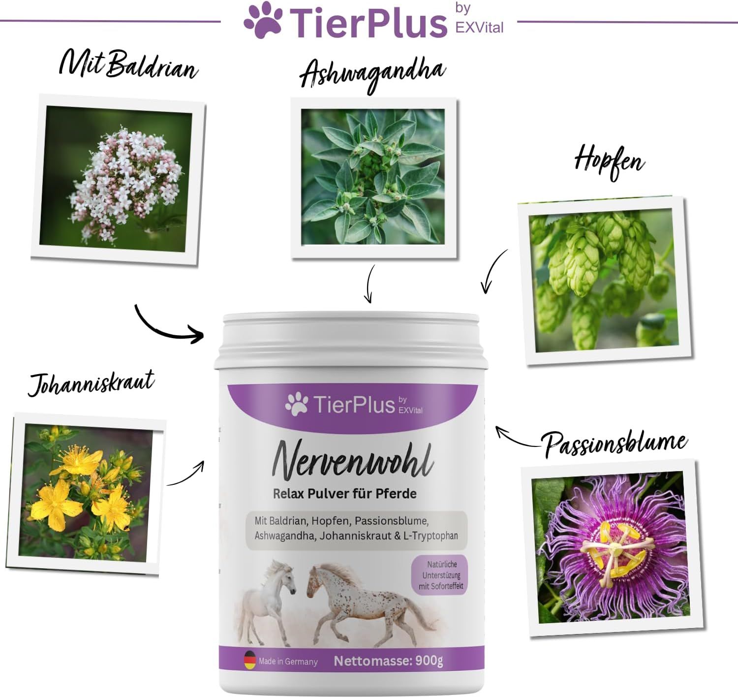 Weißer Behälter mit lila Deckel. Aufschrift: TierPlus Nervenwohl Relax Pulver für Pferde. Bilder von Kräutern.