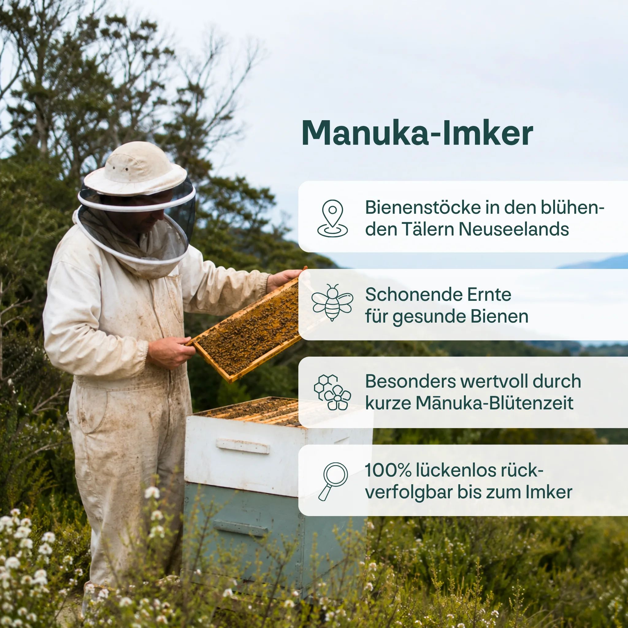 Imker in Schutzkleidung hält Wabe. Bienenstöcke in neuseeländischer Landschaft.