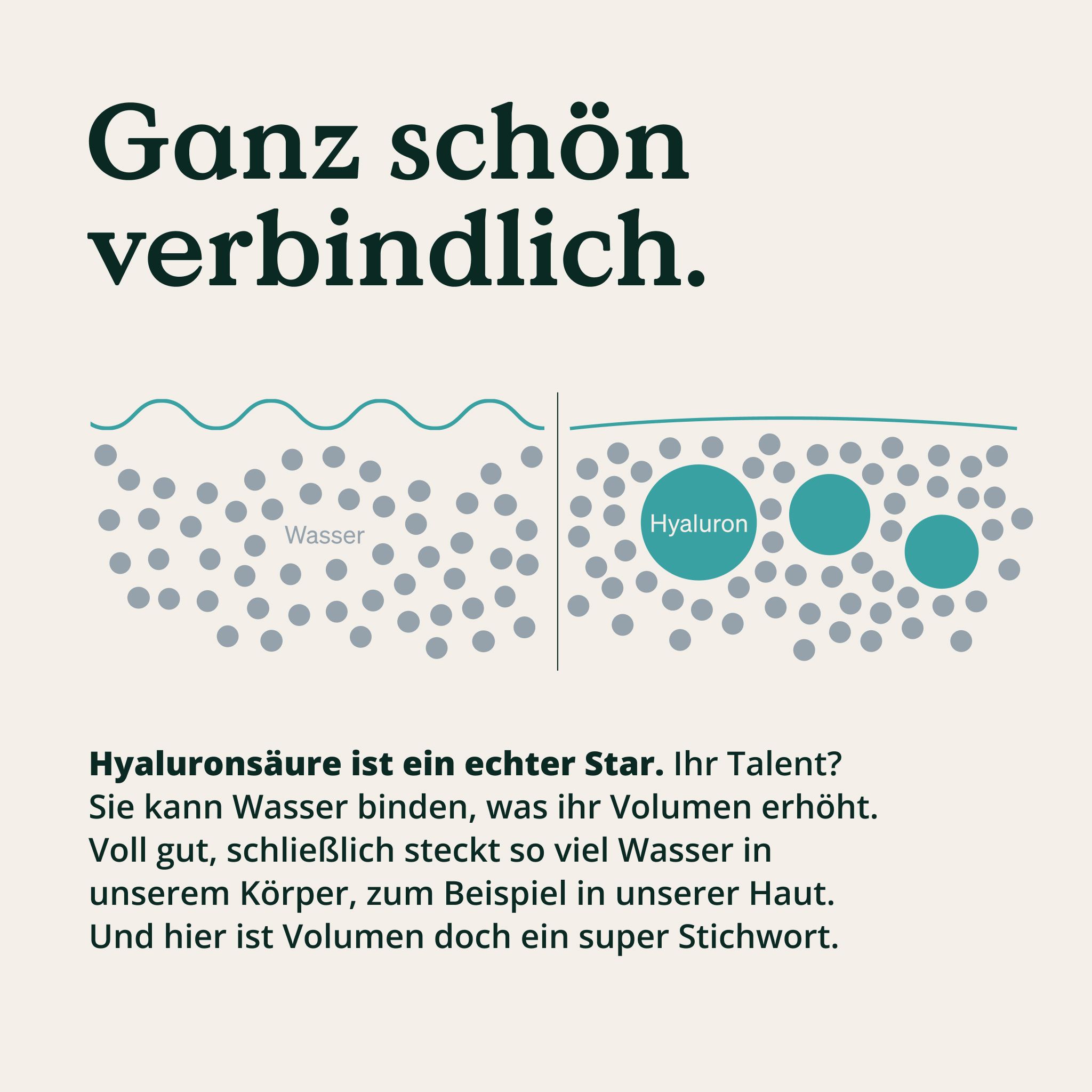 Grafik, die zeigt, wie Hyaluronsäure Wasser bindet und das Volumen erhöht. Text: Ganz schön verbindlich.