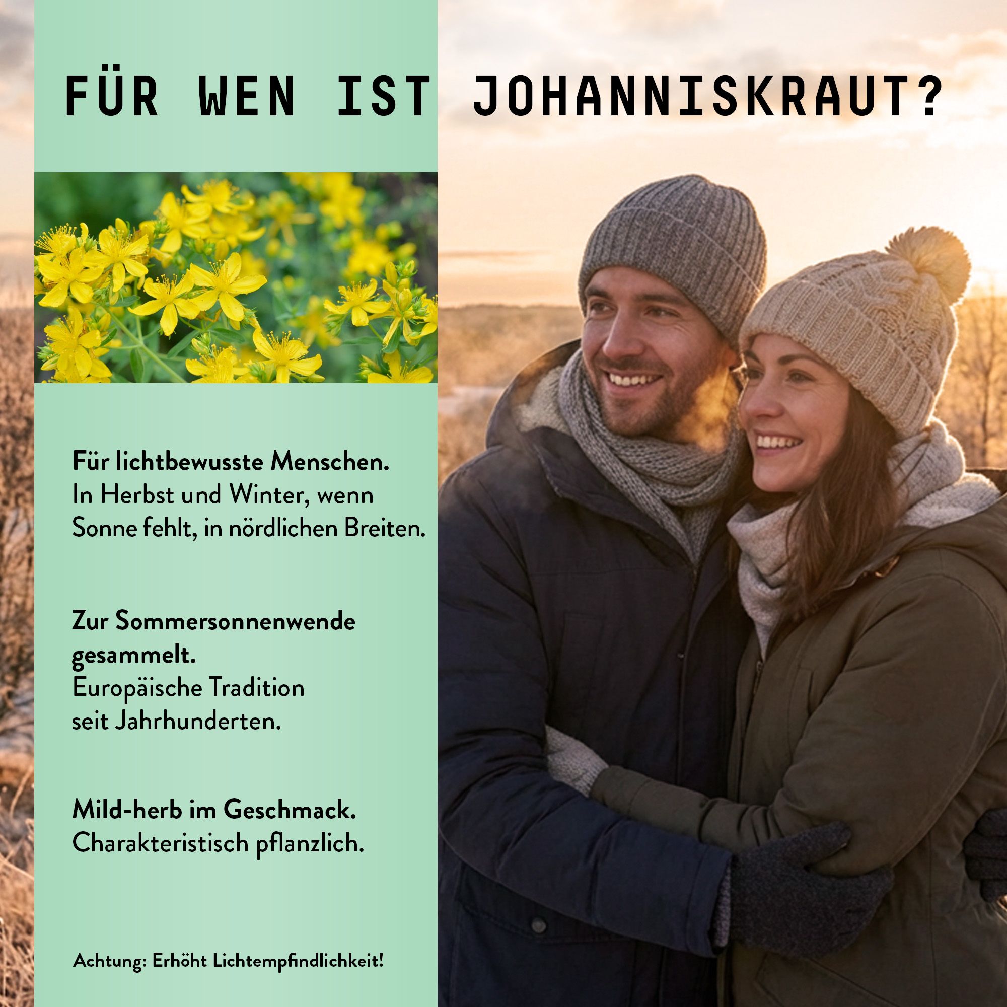 Paar im Freien. Text: Für wen ist Johanniskraut? Bild von gelben Blüten. Europäische Tradition.