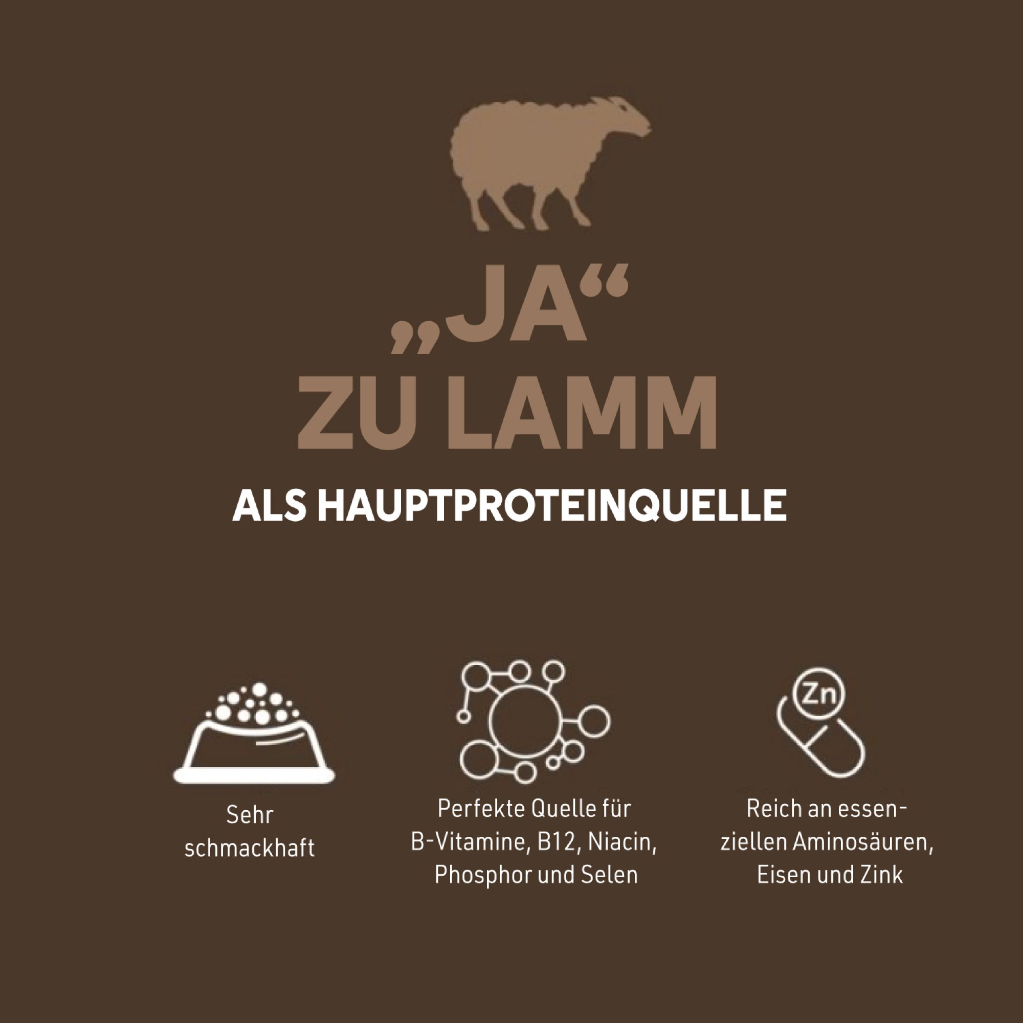 Brauner Hintergrund mit Text: Ja zu Lamm als Hauptproteinquelle. Symbole: sehr schmackhaft, B-Vitamine, Eisen, Zink.