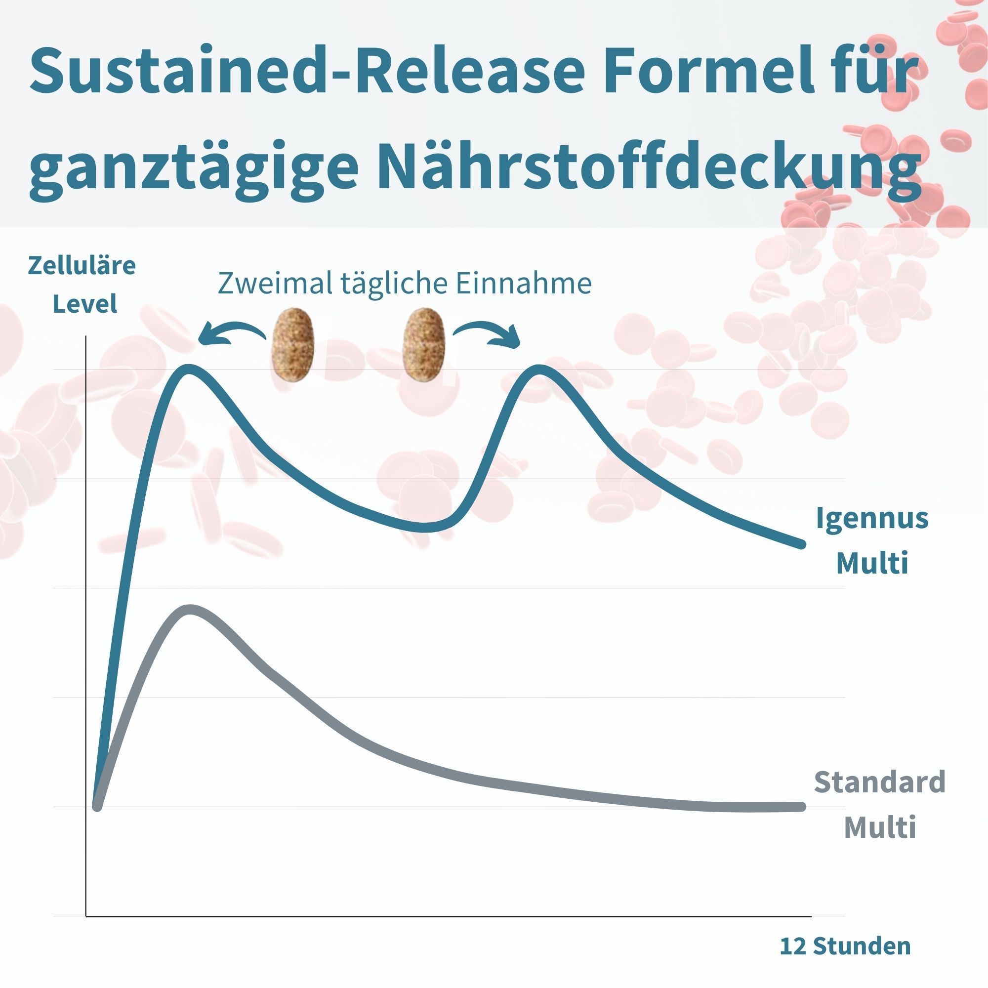 Diagramm: Nährstofffreisetzung über 12 Stunden. Zwei Tabletten. Igennus Multi und Standard Multi.