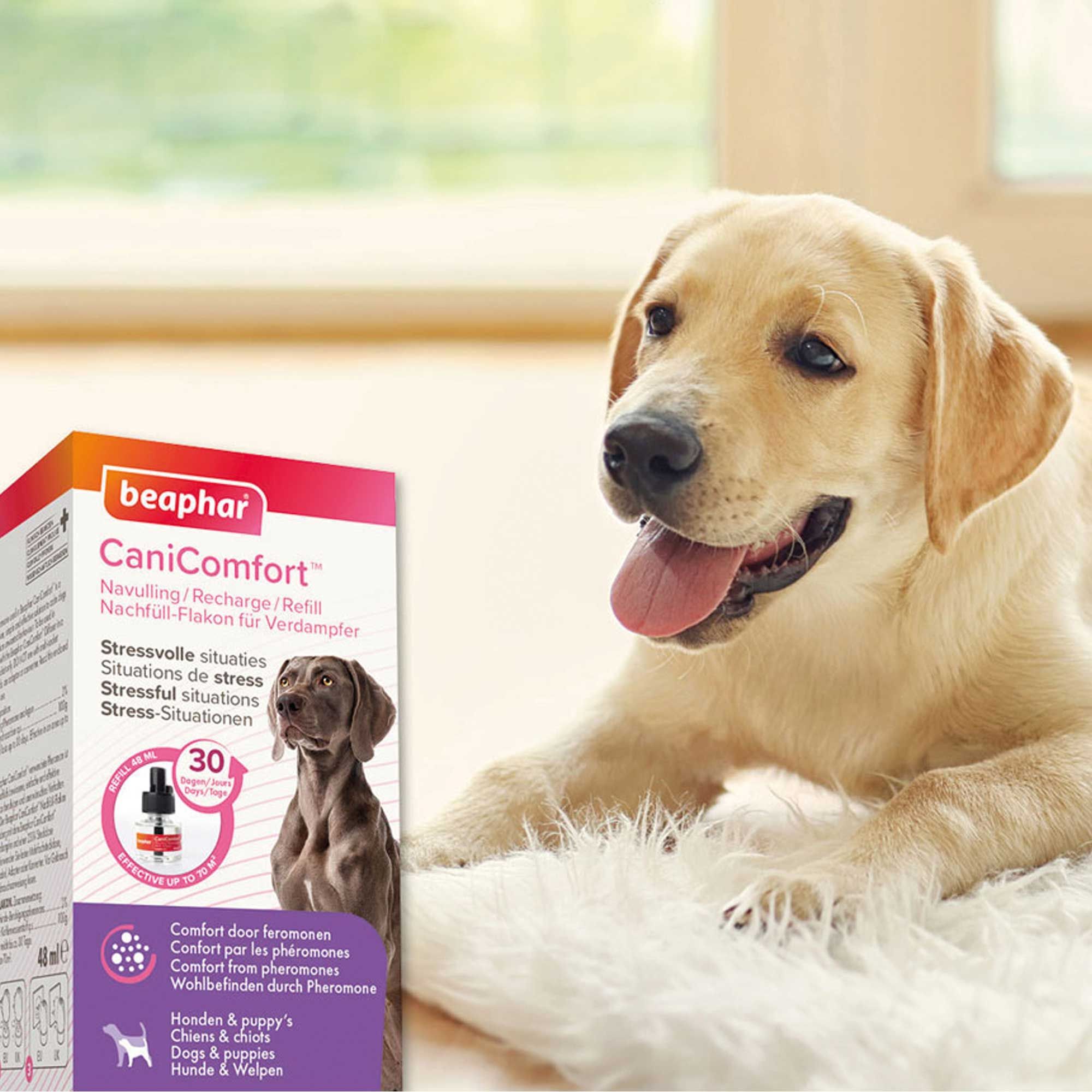 Beaphar CaniComfort Nachfüll Flakon für Verdampfer - Beruhigungsmittel für Hunde mit Pheromonen