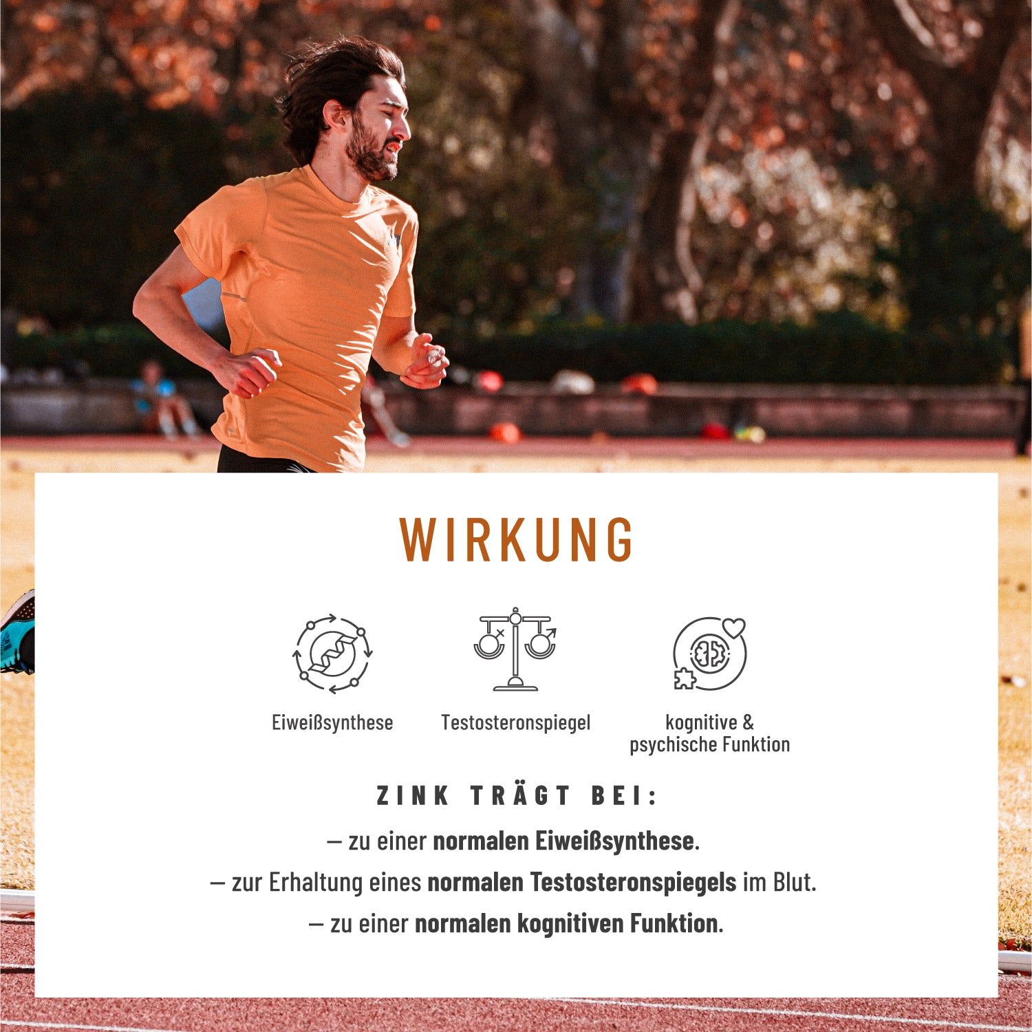 Mann rennt auf Laufbahn. Text: WIRKUNG. Grafiken zu Eiweißsynthese, Testosteronspiegel, kognitive Funktion. Text über Zink.