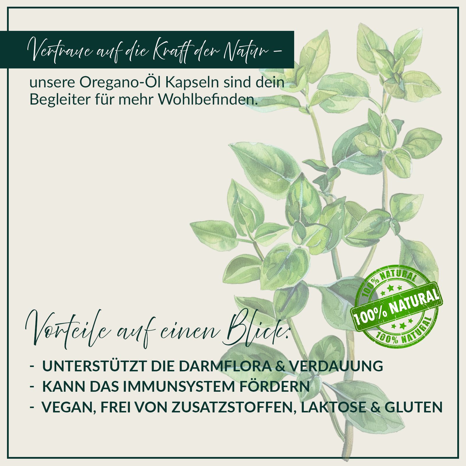 Text: Vertraue auf die Kraft der Natur. Vorteile auf einen Blick: unterstützt die Darmflora & Verdauung, kann das Immunsystem fördern. 100% Natural Siegel.