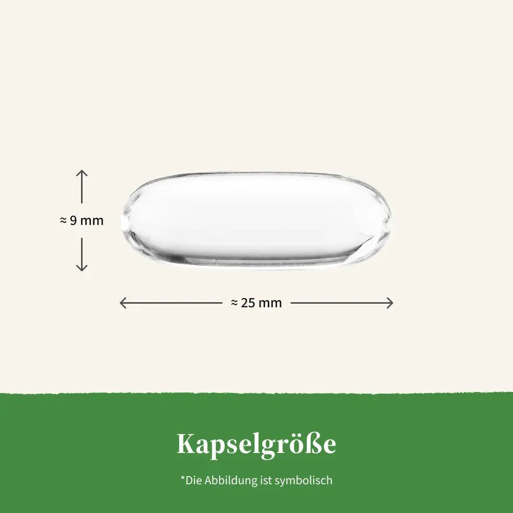 Eine einzelne, transparente Softgel-Kapsel. Maße: ca. 25 mm x 9 mm. Text: Kapselgröße.
