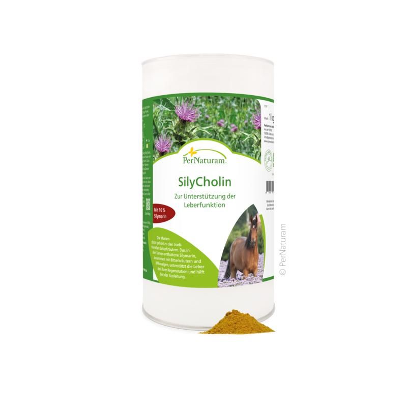 Eine Dose SilyCholin. Aufschrift und Logo. Kleines Pulverhäufchen daneben.