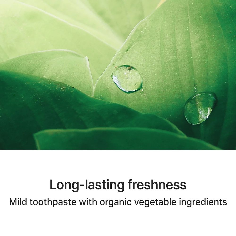 Grüne Blätter mit Wassertropfen. Text: "Long-lasting freshness", "Mild toothpaste with organic vegetable ingredients".