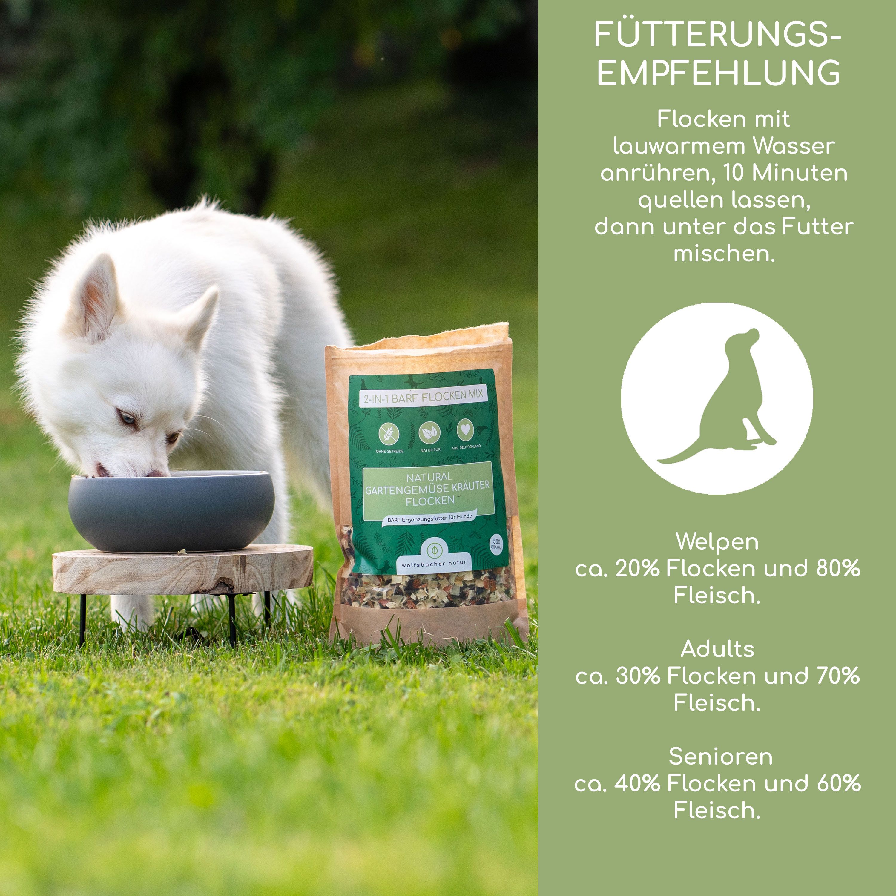 Weißer Hund frisst aus einer Schüssel neben einer Tüte Wolfsbacher Natur Flocken.