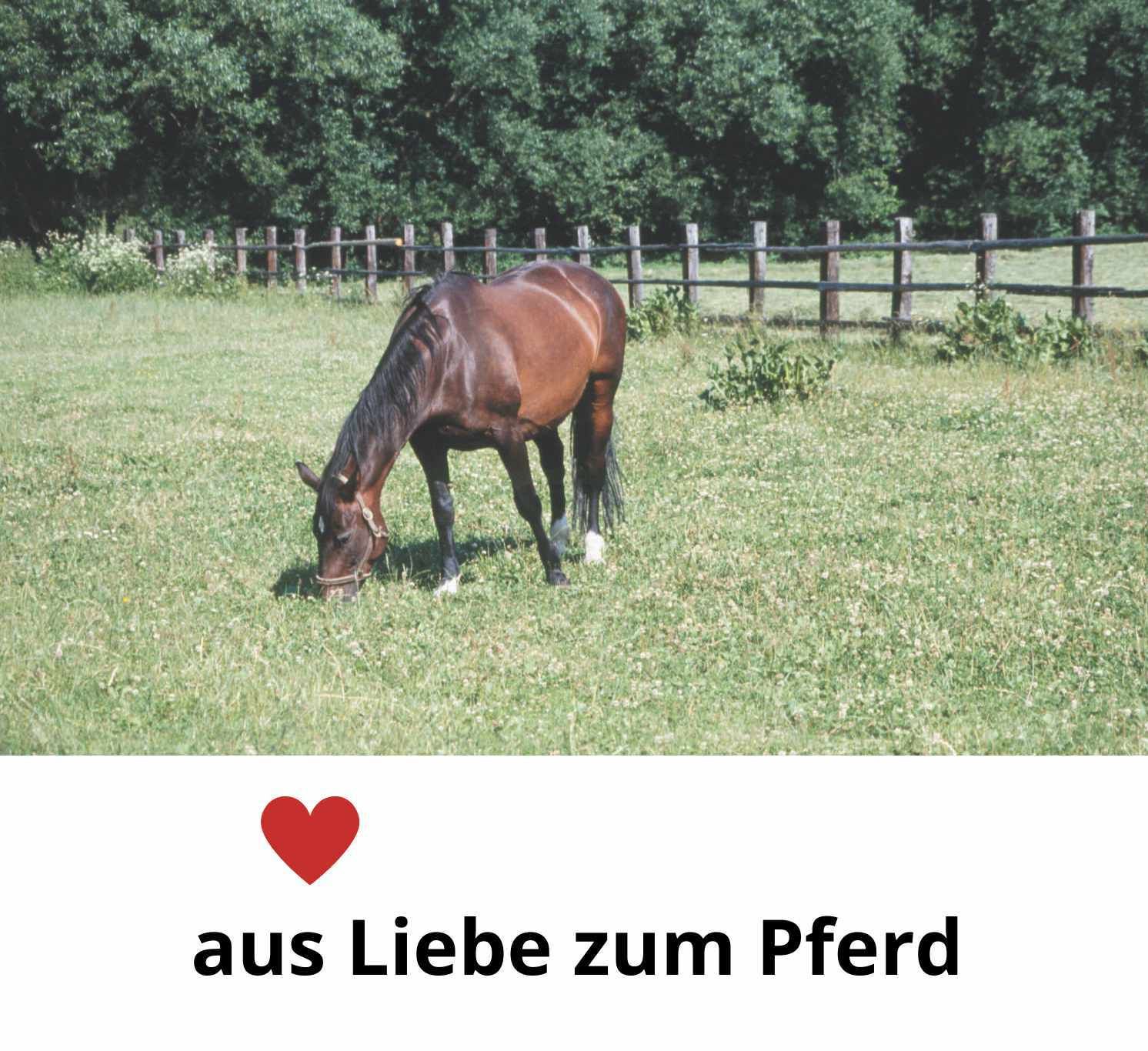 Ballistol Animal Tierpflege