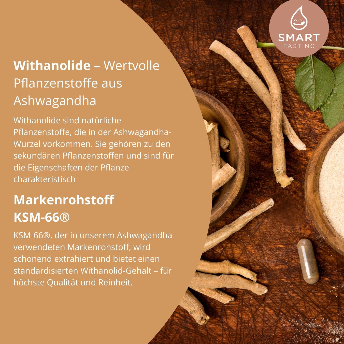 Ashwagandha-Wurzeln, Kapsel und Pulver in Schalen. Text: Wertvolle Pflanzenstoffe aus Ashwagandha. KSM-66® Markenrohstoff.