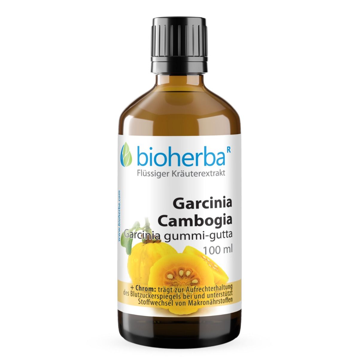 Braune Glasflasche mit schwarzem Deckel. Bioherba Garcinia Cambogia Tropfen. Etikett mit Produktinformationen und Abbildung der Frucht.