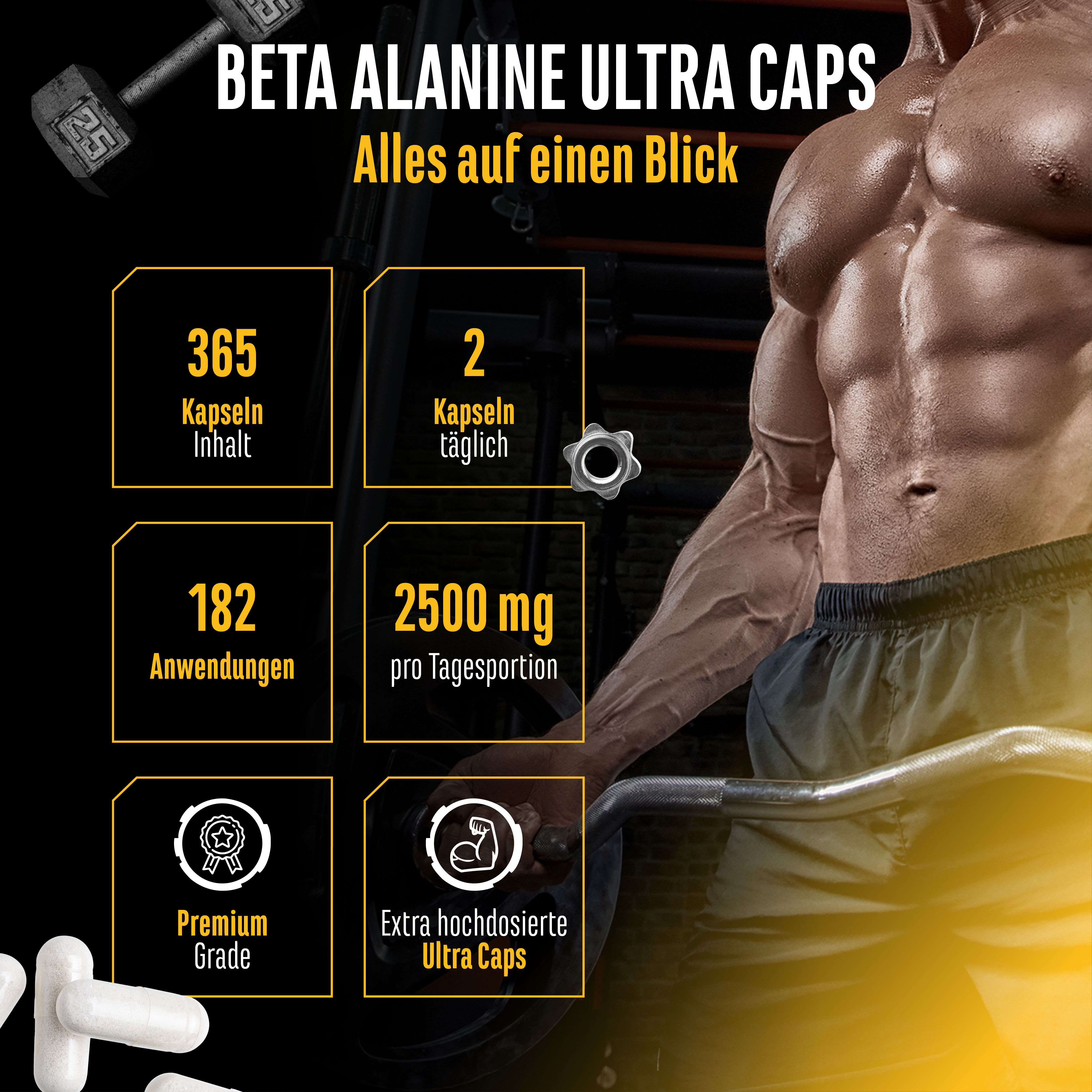 Grafik mit Informationen zu Beta Alanine Ultra Caps. 365 Kapseln, 2 täglich, 182 Anwendungen, 2500 mg pro Tagesportion. Premium Grade.