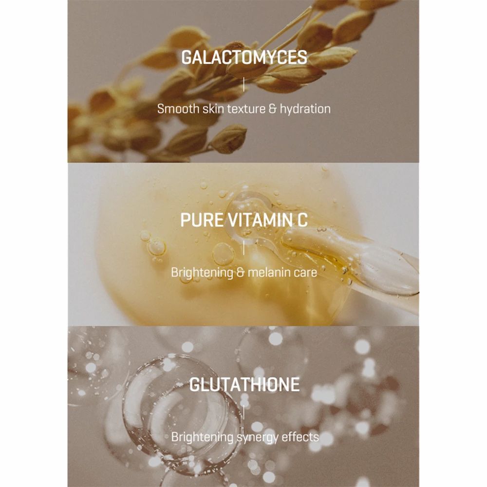 Drei Abschnitte mit Text und Bildern. Galactomyces, Vitamin C, Glutathion. Text: Hauttextur, Aufhellung, Synergie.