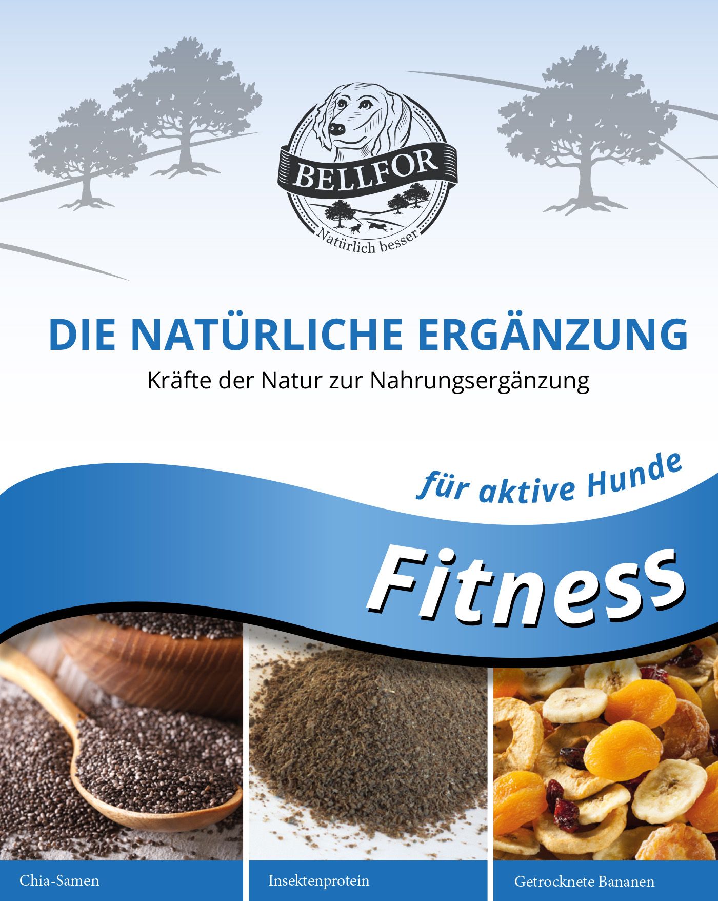 Bellfor Nahrungsergänzung paket für Sporthunde - Fitness Riegel + Fitness Pulver + Immun Pulver