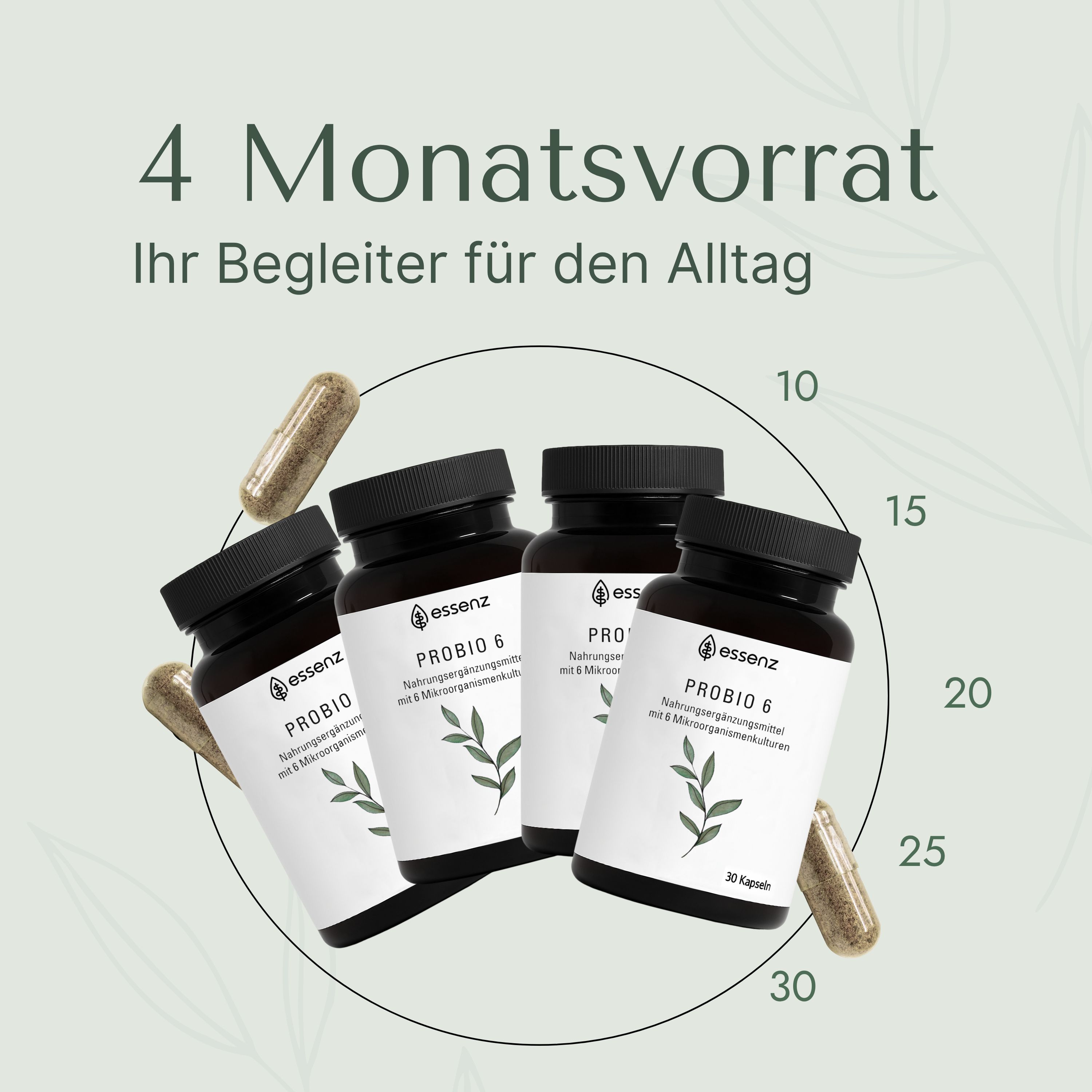 ESSENZ Probio 6 – 6 Bakterienstämme mit 10 Milliarden KBE & Inulin – Probiotische Kulturen