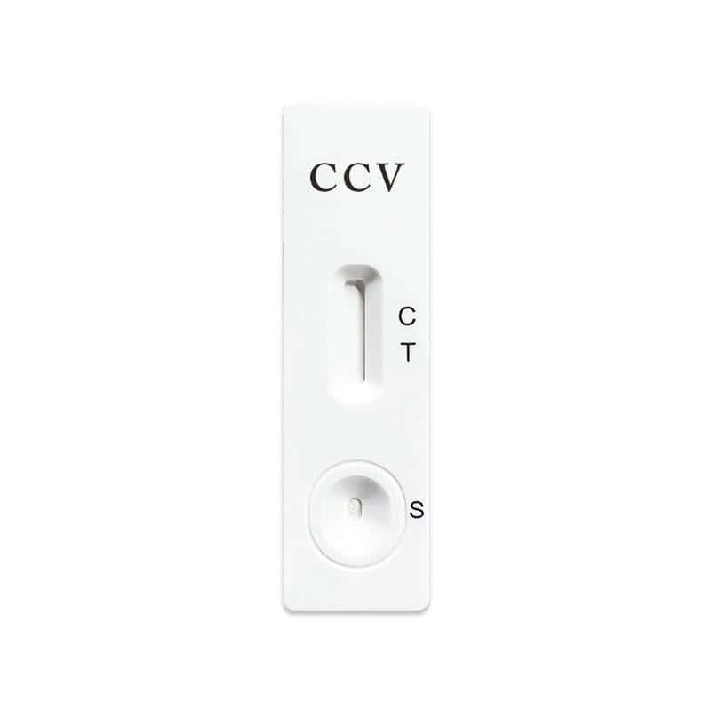 Ein einzelner Hund-Antigen-Schnellteststreifen mit "CCV" und Testfeldern.
