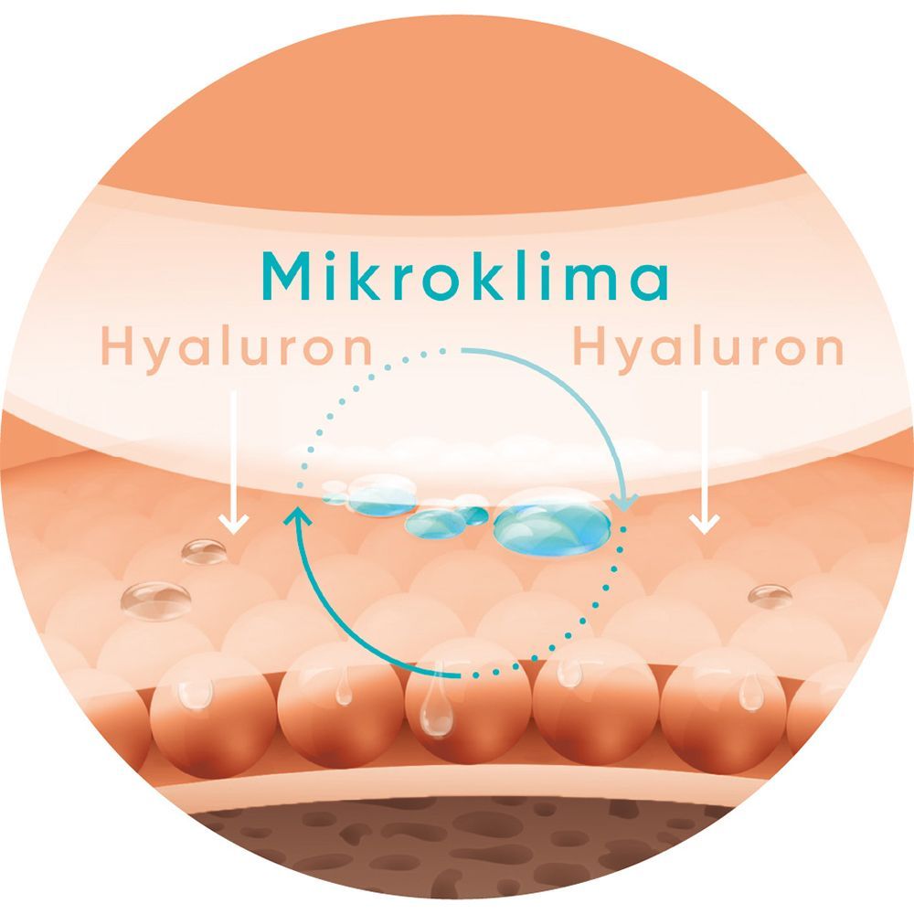 Grafik: Mikroklima. Hyaluron-Moleküle in der Haut. Pfeile zeigen den Kreislauf.