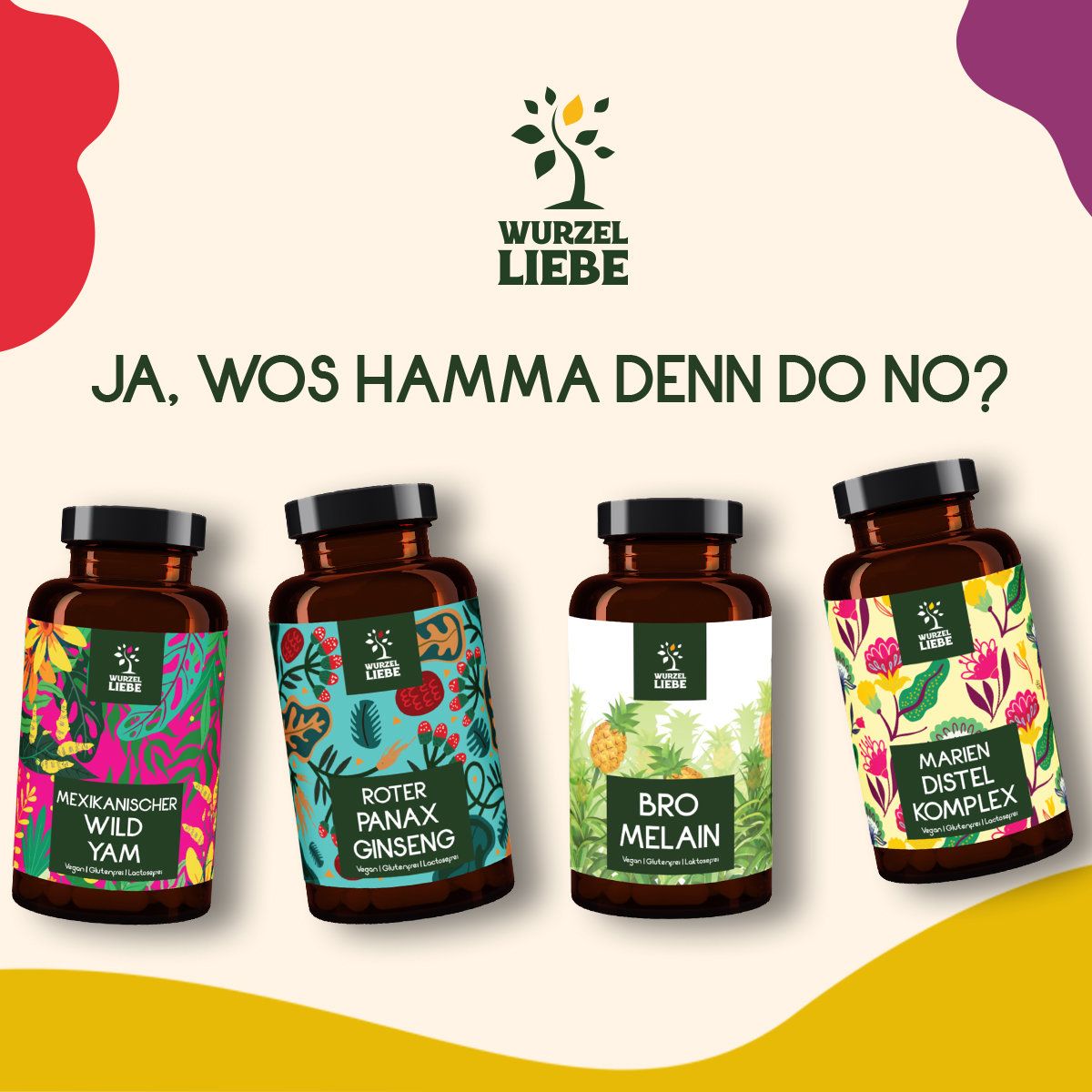 Vier braune Flaschen mit Kapseln. Aufschrift: Mexikanischer Wild Yam, Roter Panax Ginseng, Bro Melain, Marien Distel Komplex.