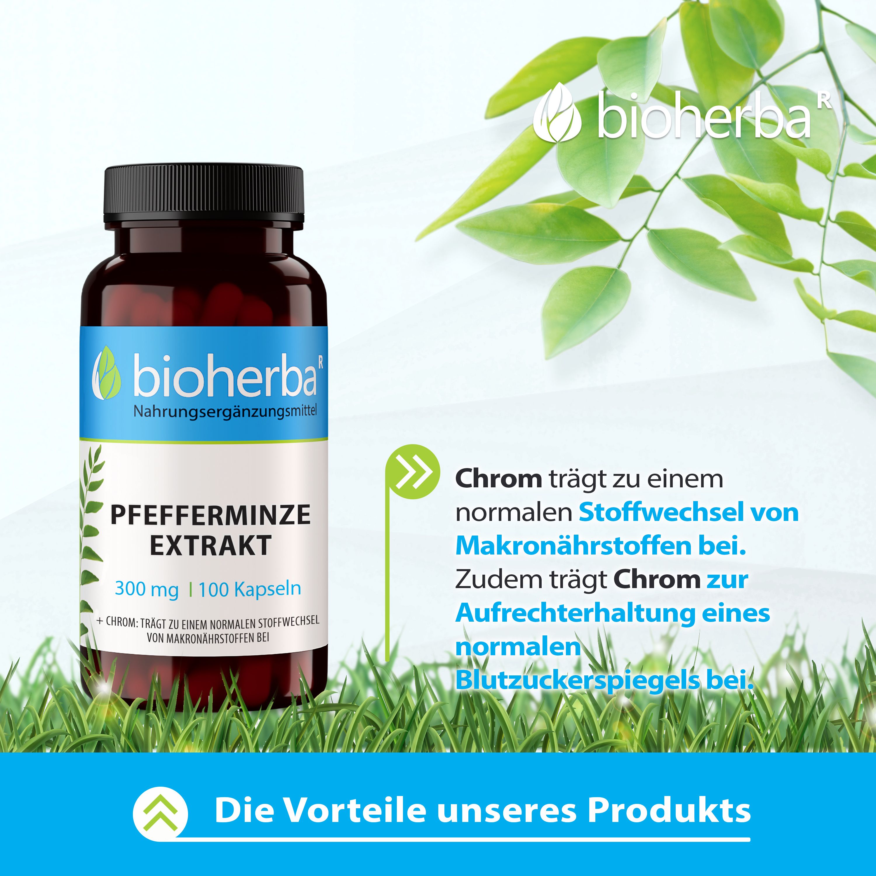 Flasche mit Kapseln auf Gras. Text: Vorteile unseres Produkts. Logo und Produktname. Text über Chrom.