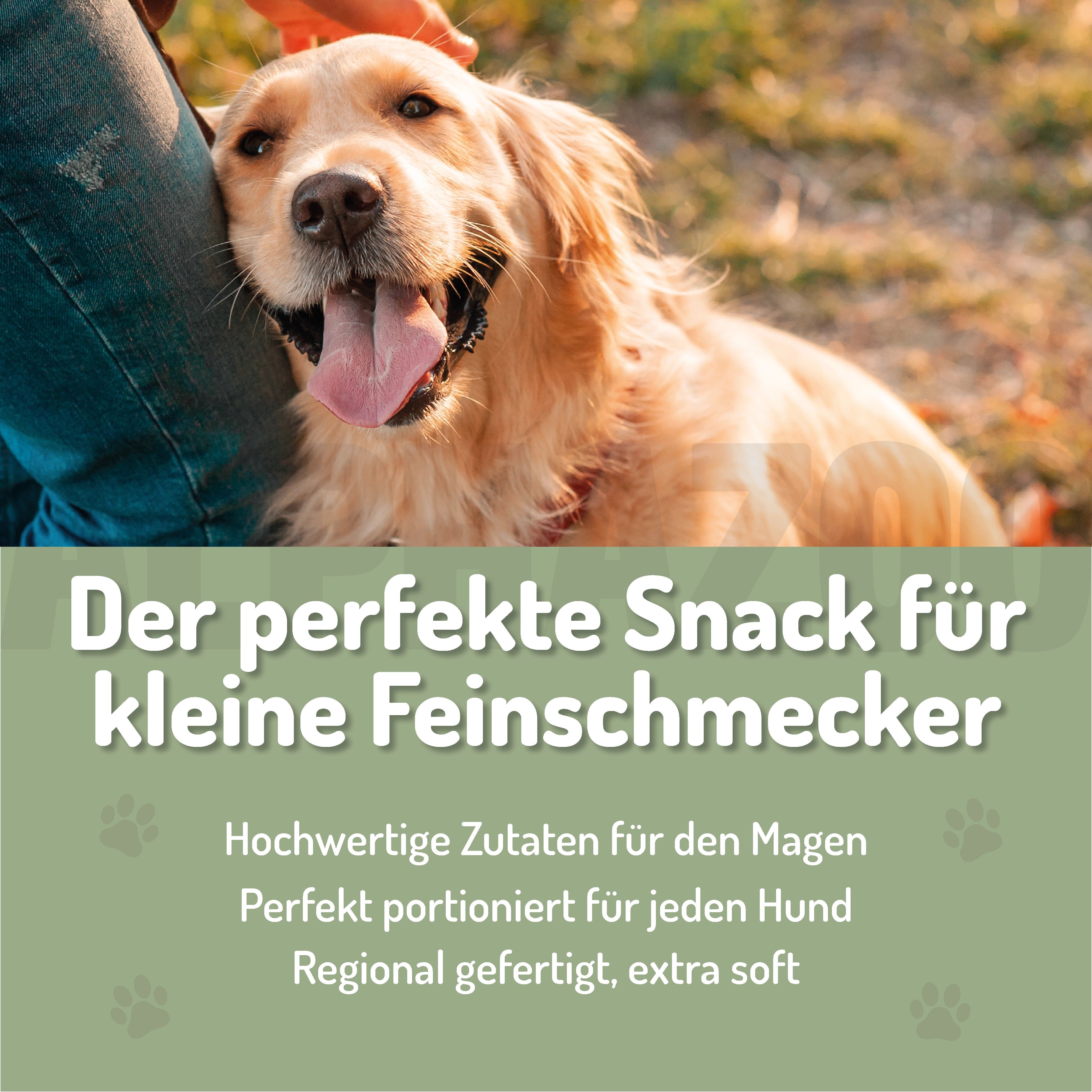 Goldener Retriever mit Text: Der perfekte Snack für kleine Feinschmecker. Text auf grünem Hintergrund.