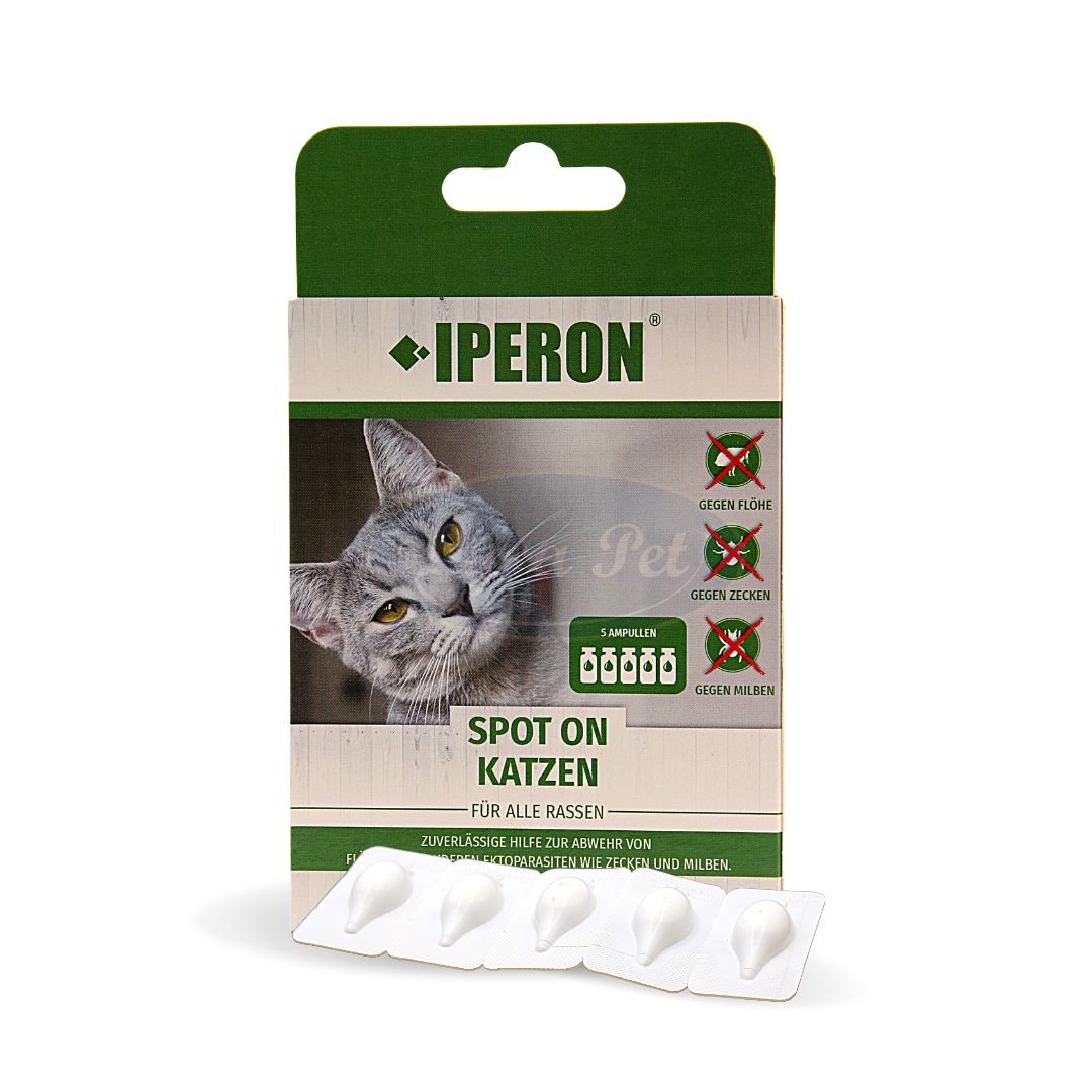 Verpackung mit Produktnamen IPERON SPOT-ON KATZEN. Enthält 5 Ampullen. Auf der Verpackung sind Symbole gegen Flöhe, Zecken und Milben abgebildet.