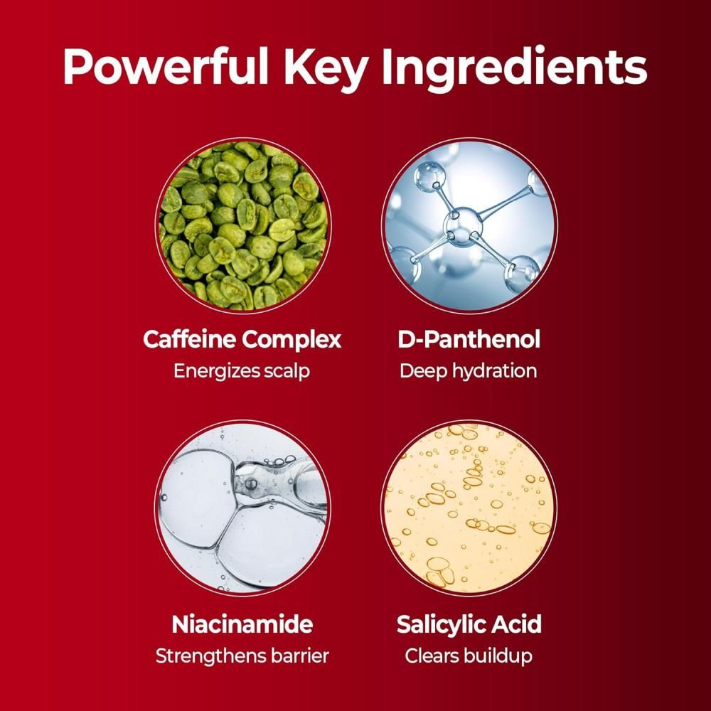 Grafik mit Inhaltsstoffen: Koffein-Komplex, D-Panthenol, Niacinamid, Salicylsäure. Beschriftung: Powerful Key Ingredients.