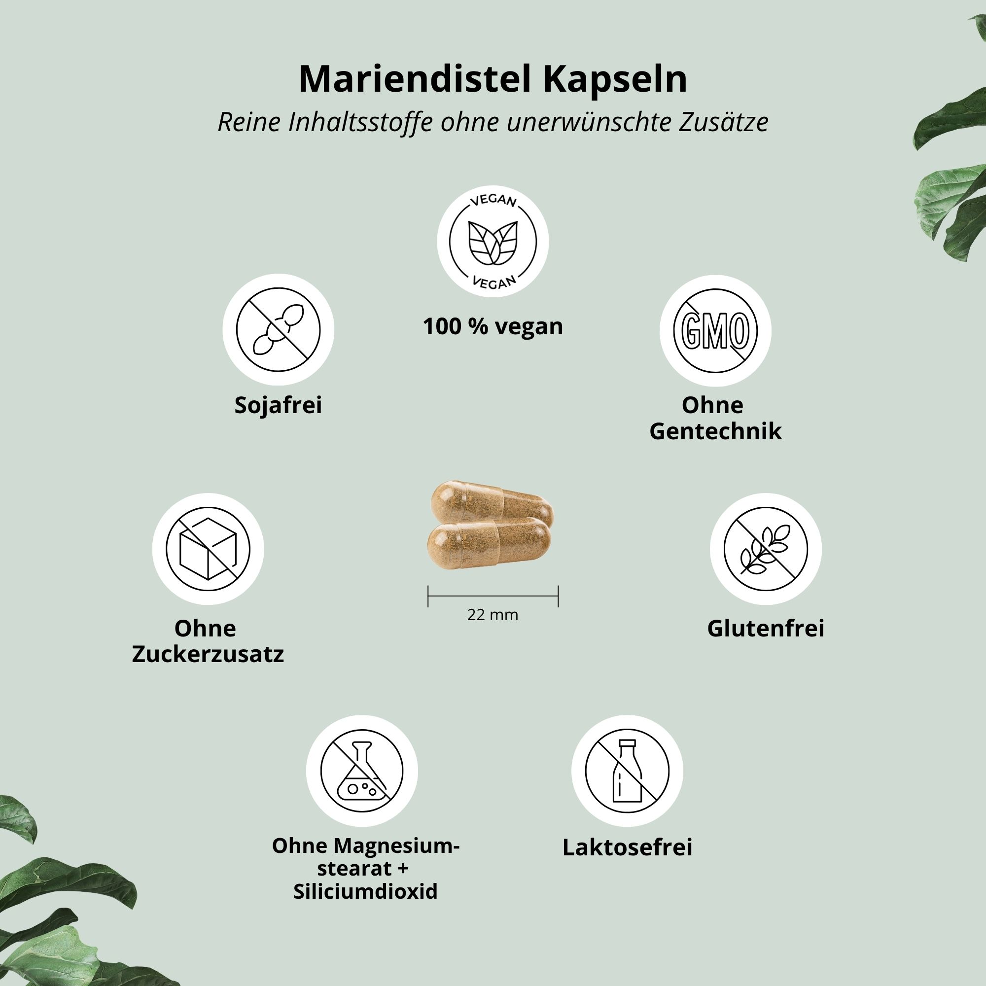 Zwei Kapseln. Text: Mariendistel Kapseln. Siegel: vegan, ohne Gentechnik, ohne Zuckerzusatz, glutenfrei.