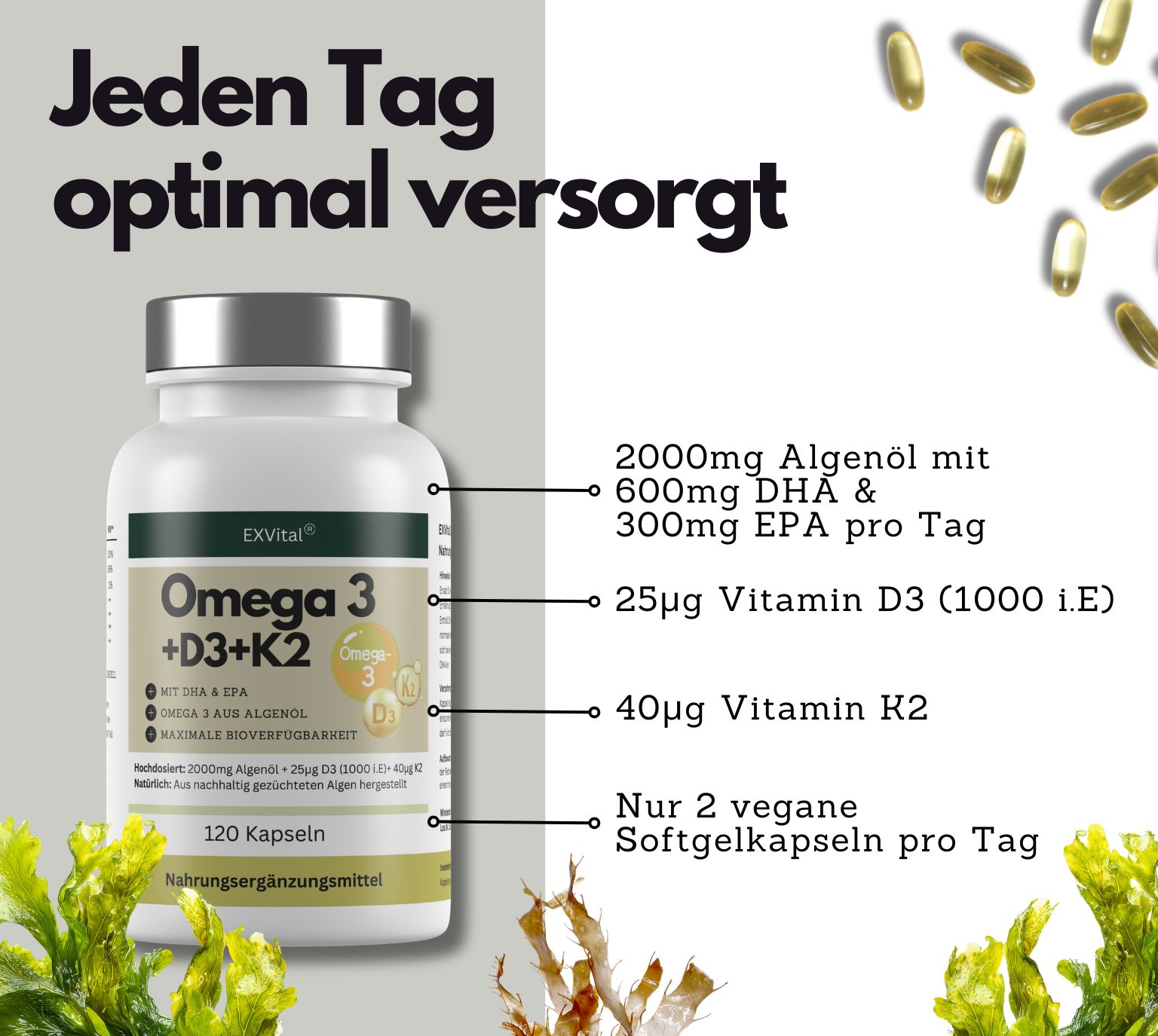 EXVital® Omega 3 + D3 & K2 Kapseln aus Algenöl, hochdosiert & vegan