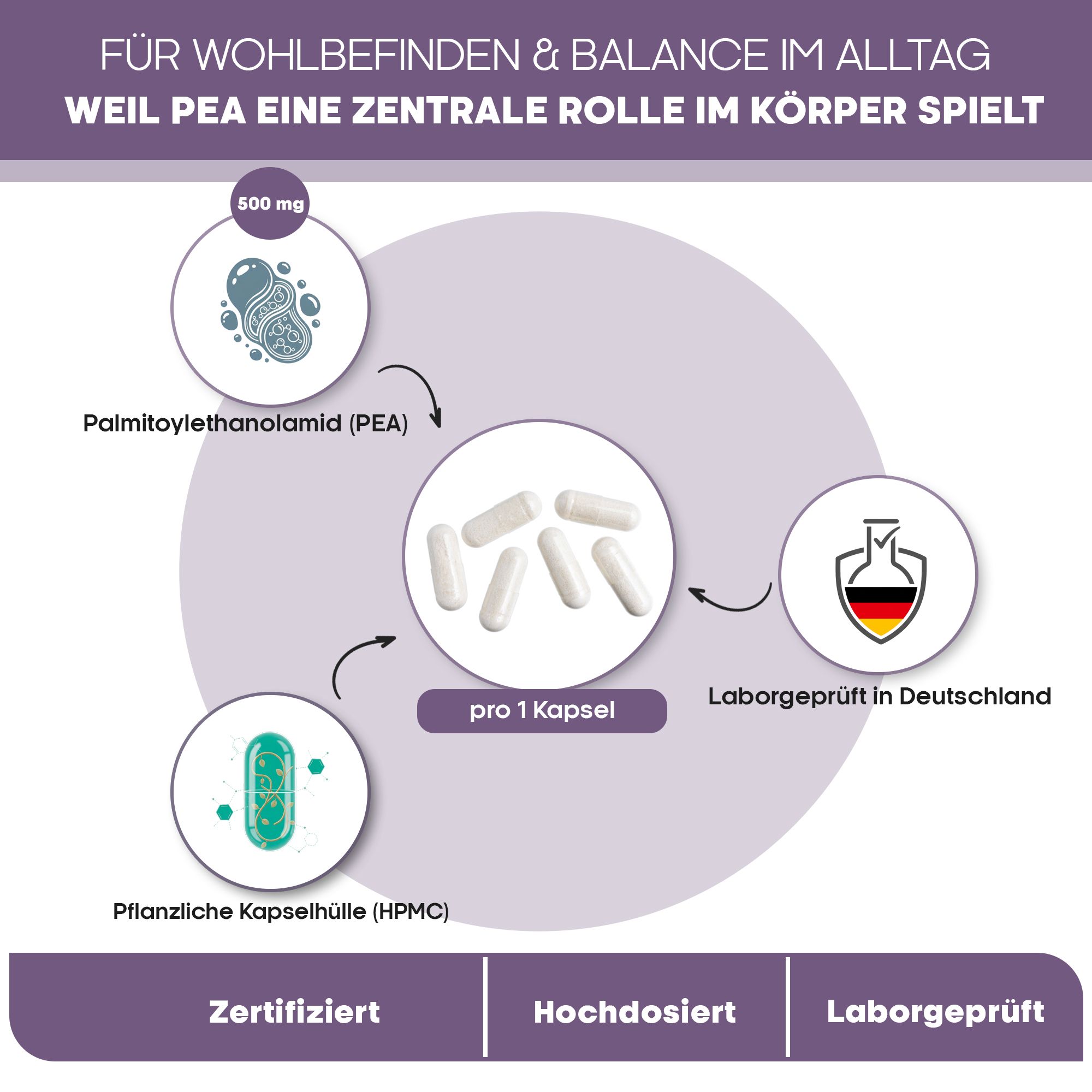 PEA Kapseln - Palmitoylethanolamid in hochreiner Qualität mit 600 mg pro Kapsel