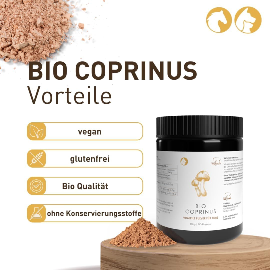 Dose mit weißem Etikett. BIO Coprinus Vorteile. Vegan, glutenfrei, Bio Qualität, ohne Konservierungsstoffe.