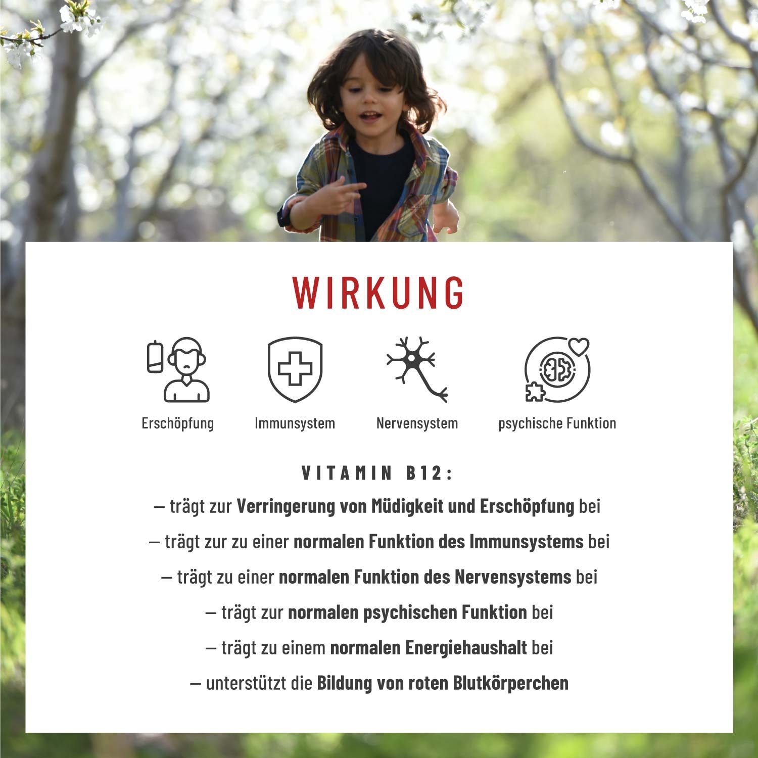 Vitamin B12 Tropfen für Kinder ab 3 Jahren - Zellkind - NATURTREU®