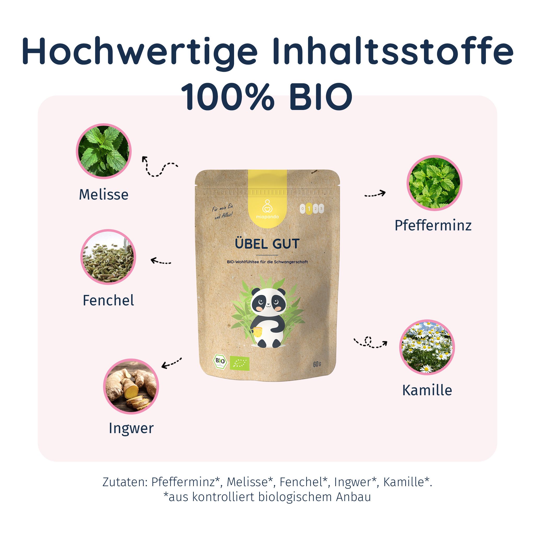 miapanda Übel Gut - Schwangerschaftstee 100% BIO - mit  Kamille, Minze, Ingwer