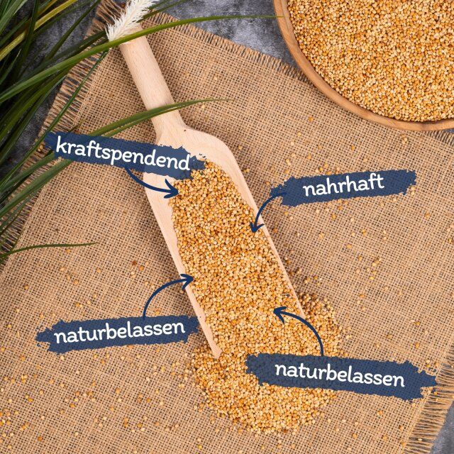 Hirse in Holzschaufel. Text: kraftspendend, nahrhaft, naturbelassen.